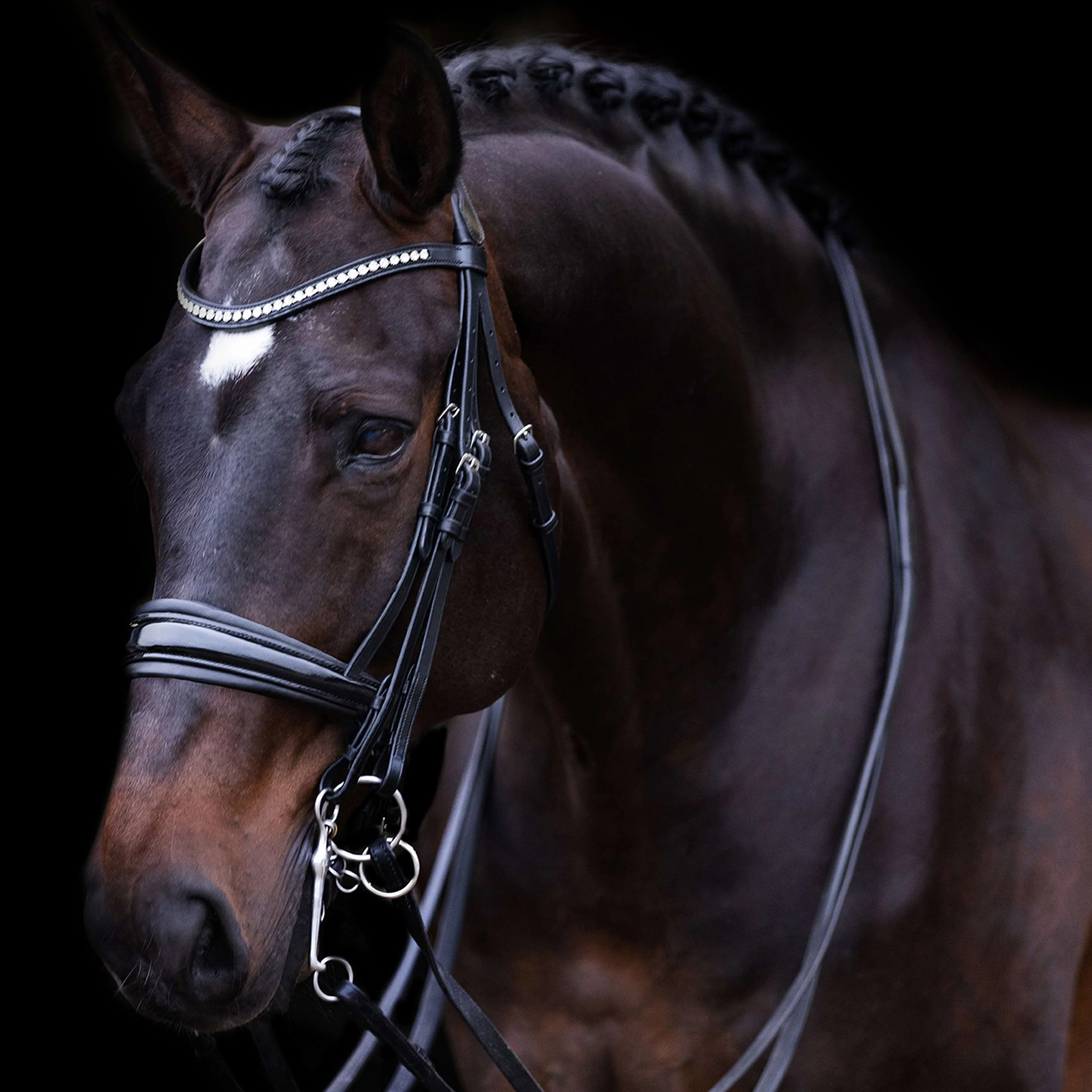 Imperial Riding Briglia Doppia IRHFria Nero - Image 3