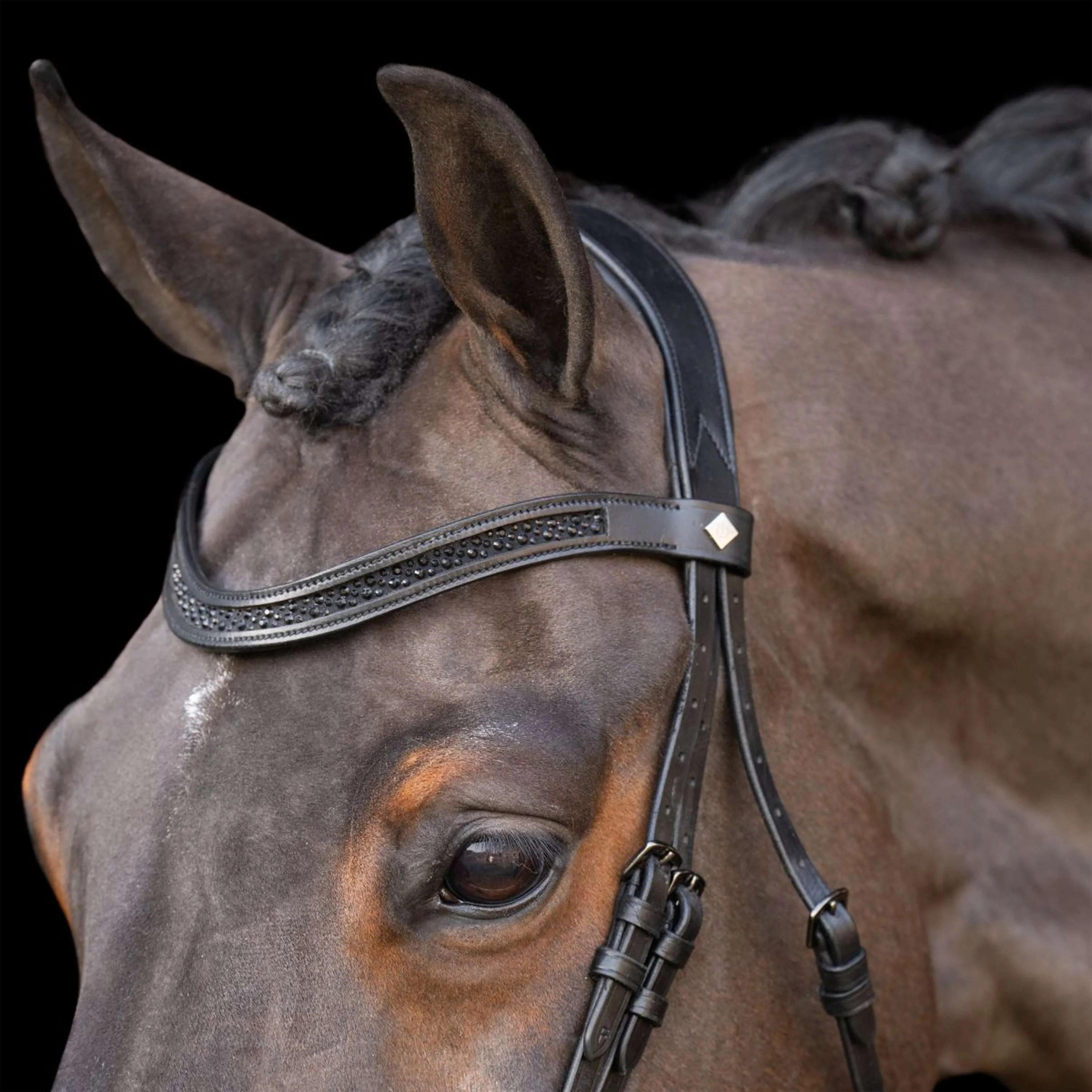 Imperial Riding Briglia IRH Nero - Image 3