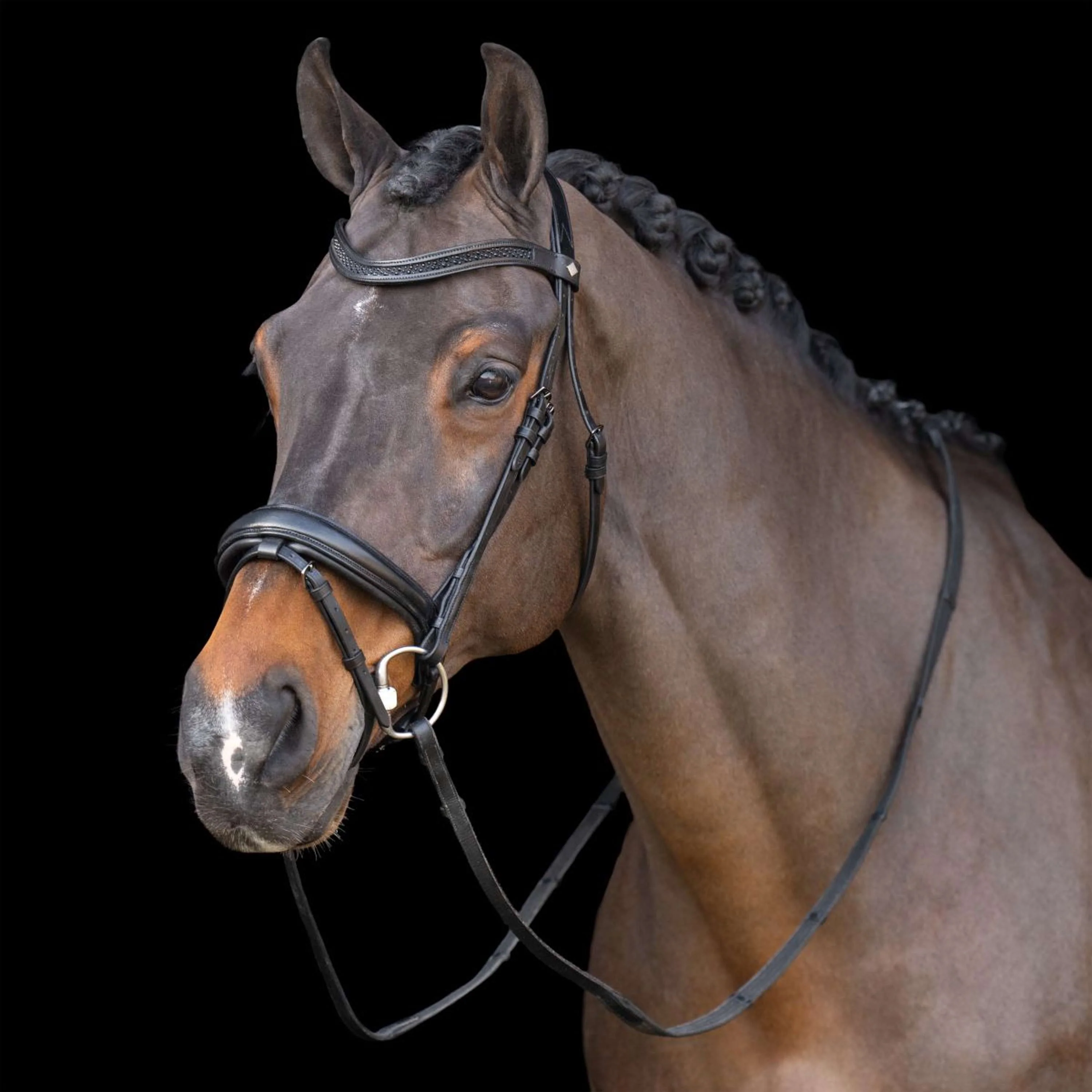 Imperial Riding Briglia IRH Nero - Image 4