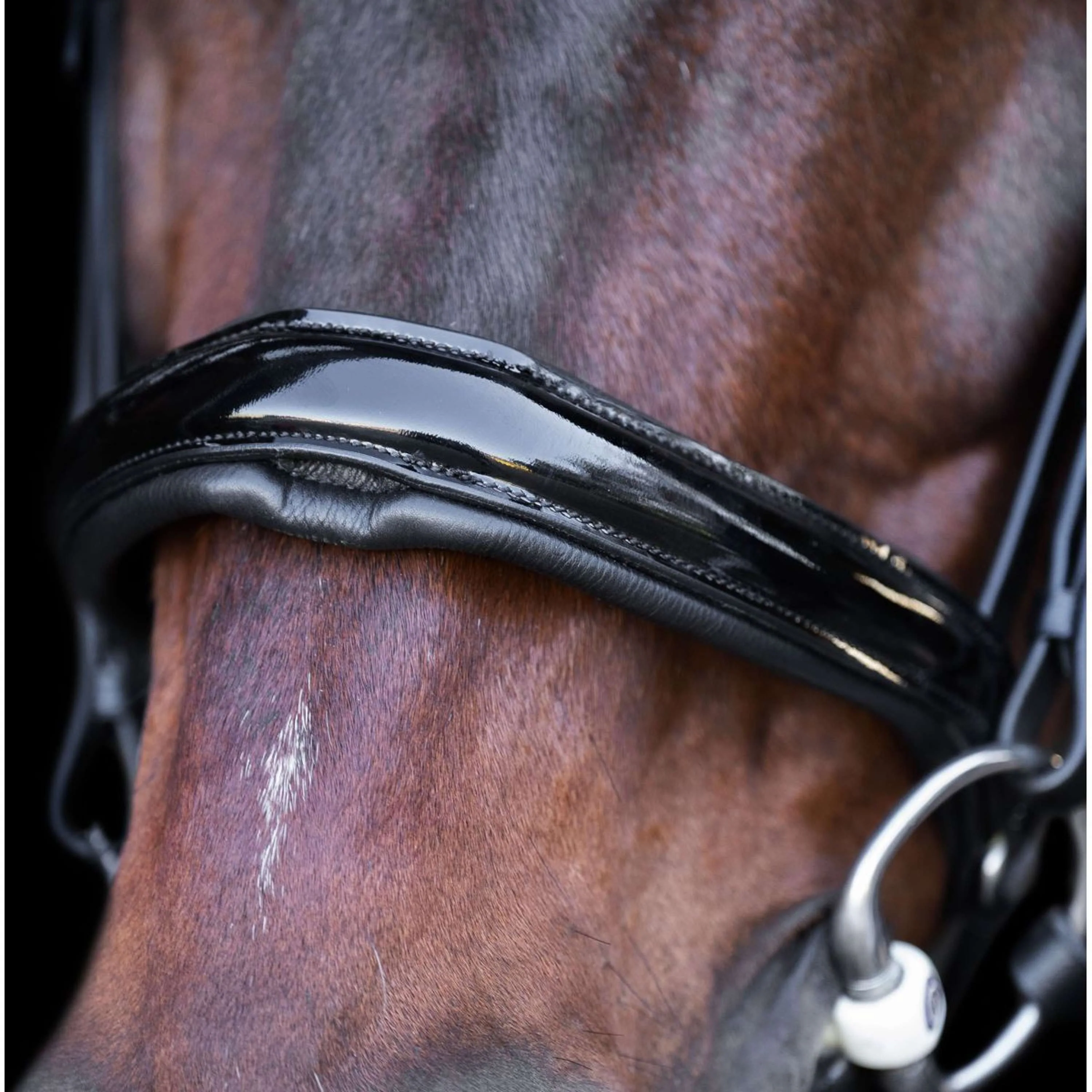 Imperial Riding Briglia IRH Nero/cristallo - Image 2