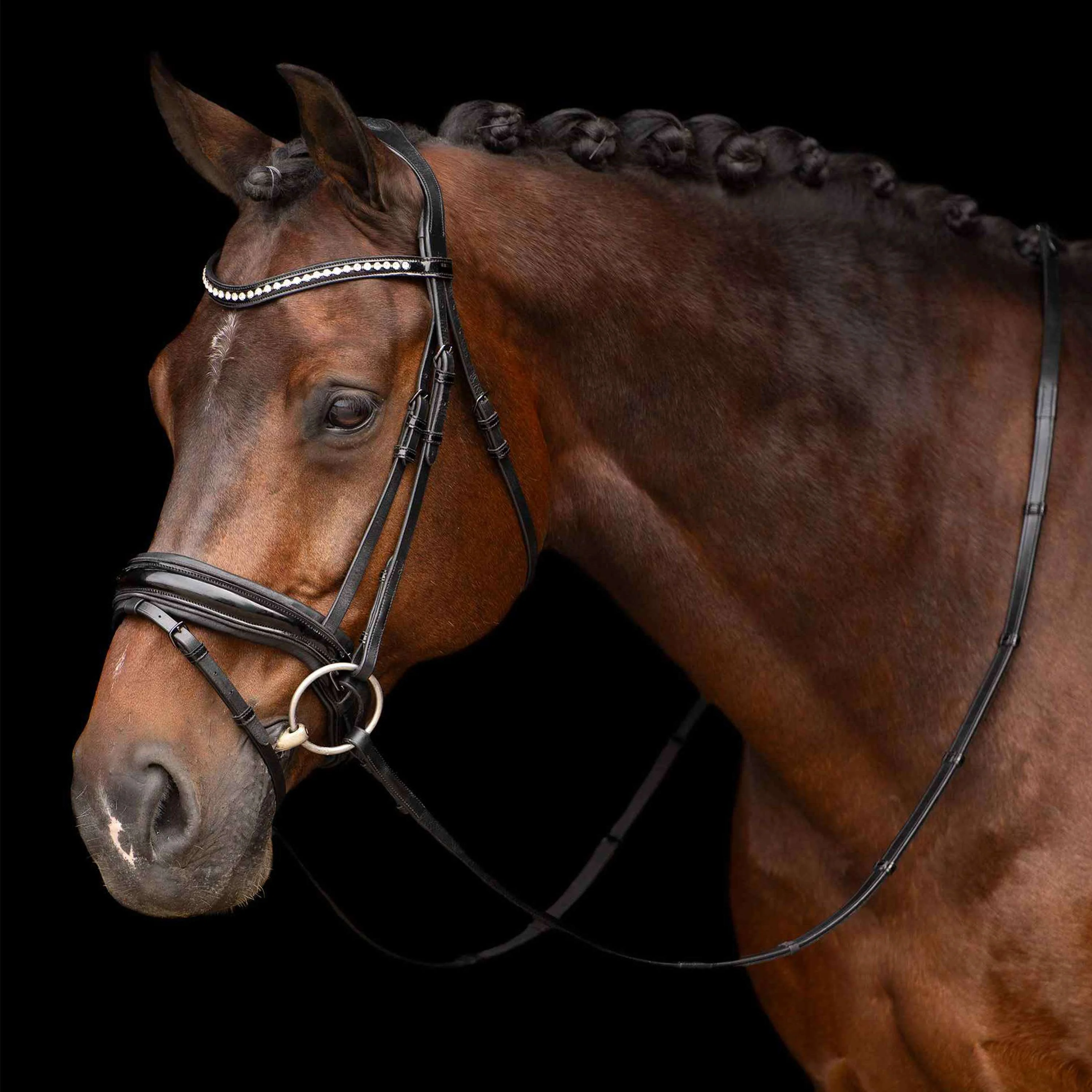 Imperial Riding Briglia IRHAthena Nero