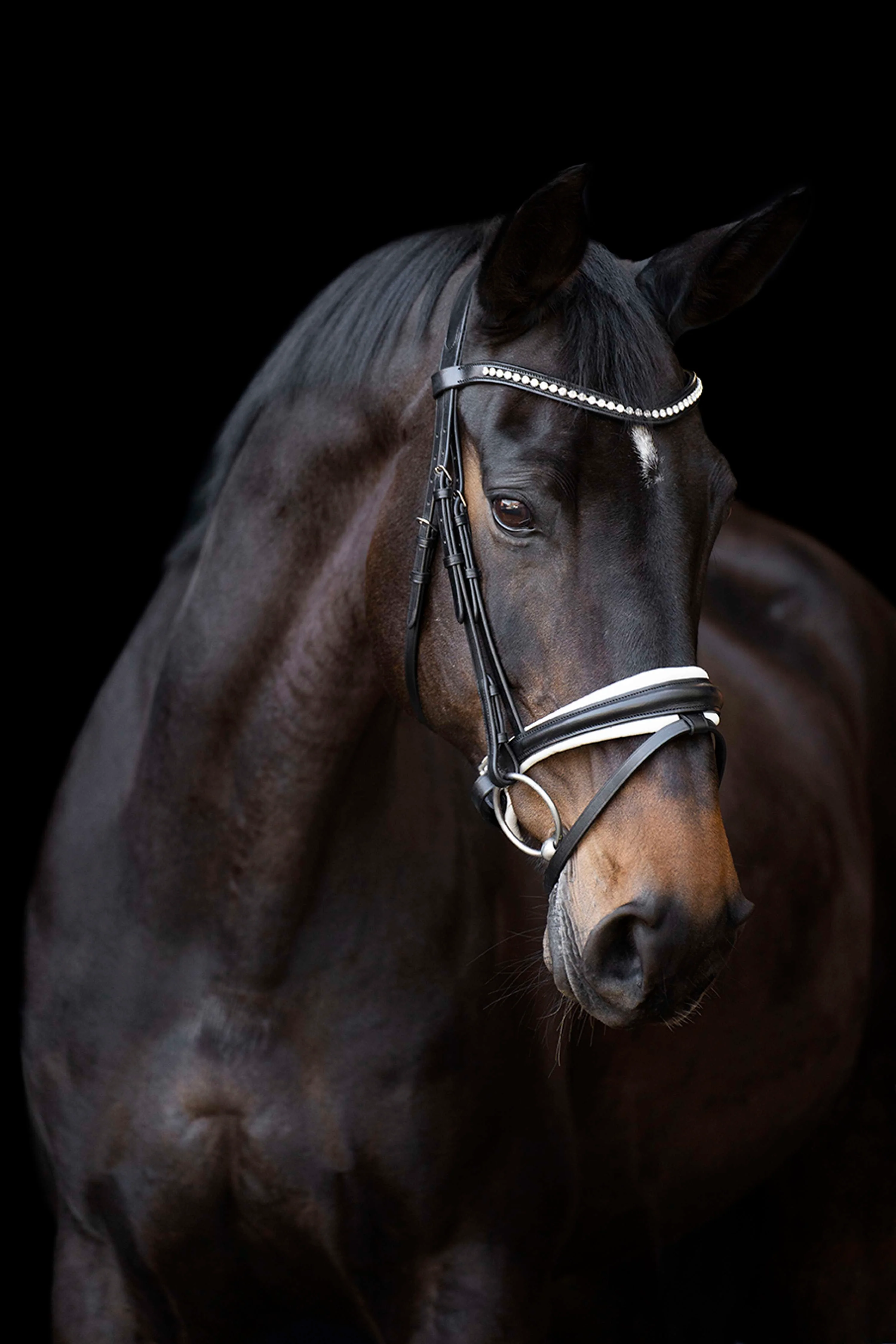 Imperial Riding Briglia IRHFria Trens Nero/Bianco - Image 2