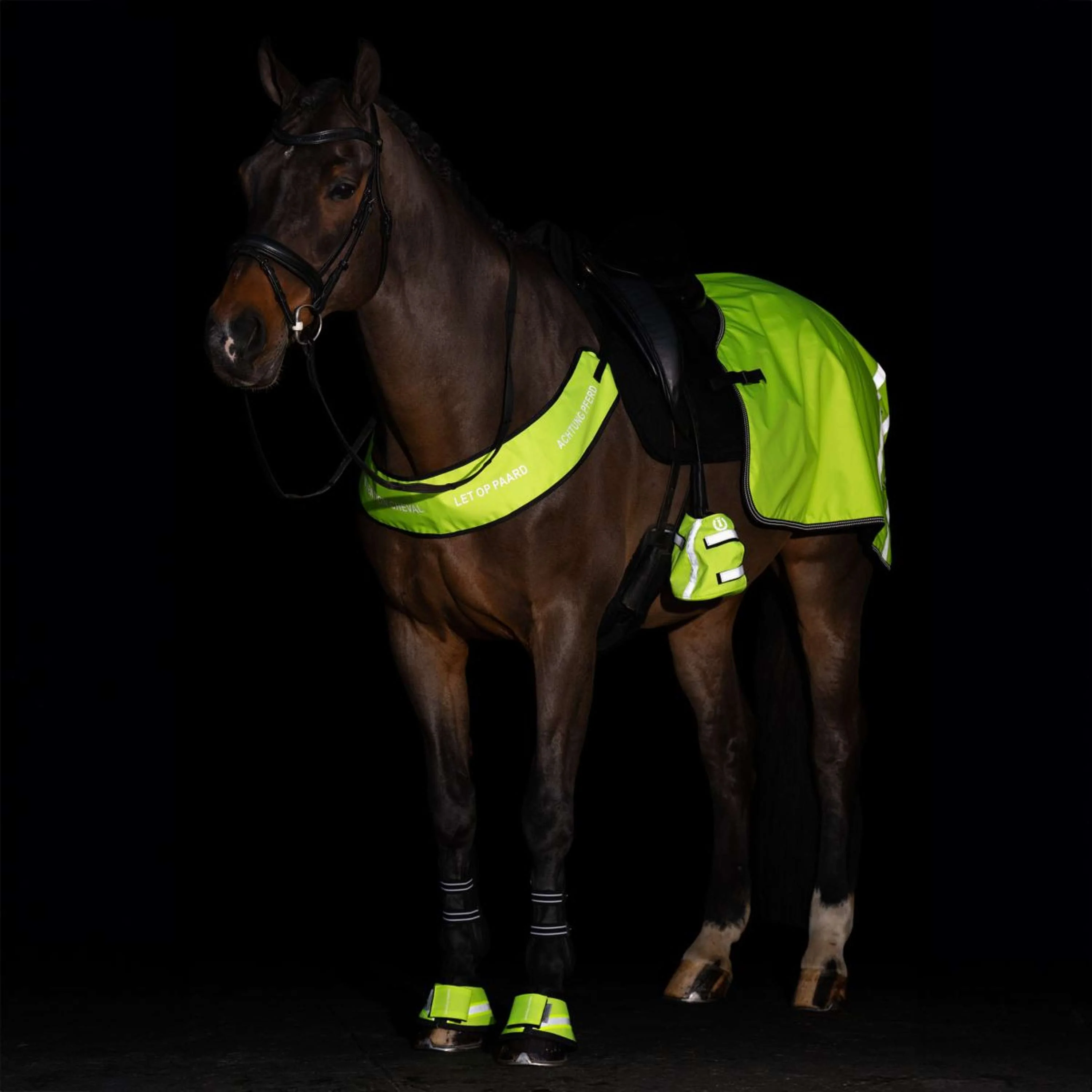 Imperial Riding Scaldapiedi IRHReflective Giallo - Image 6