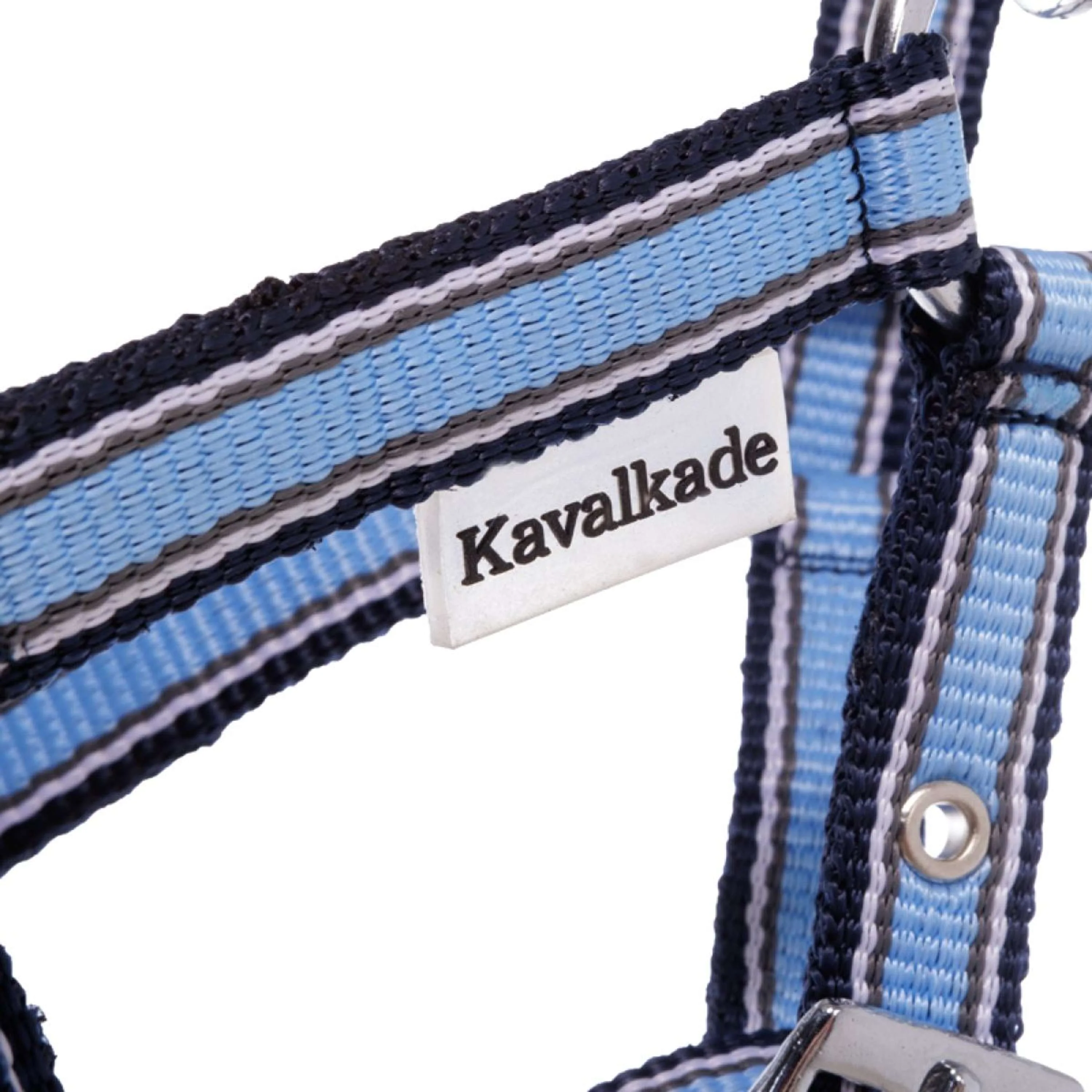 Kavalkade Cavezza Foal/Yearling Azzurro/Blu navy/Bianco - Image 2