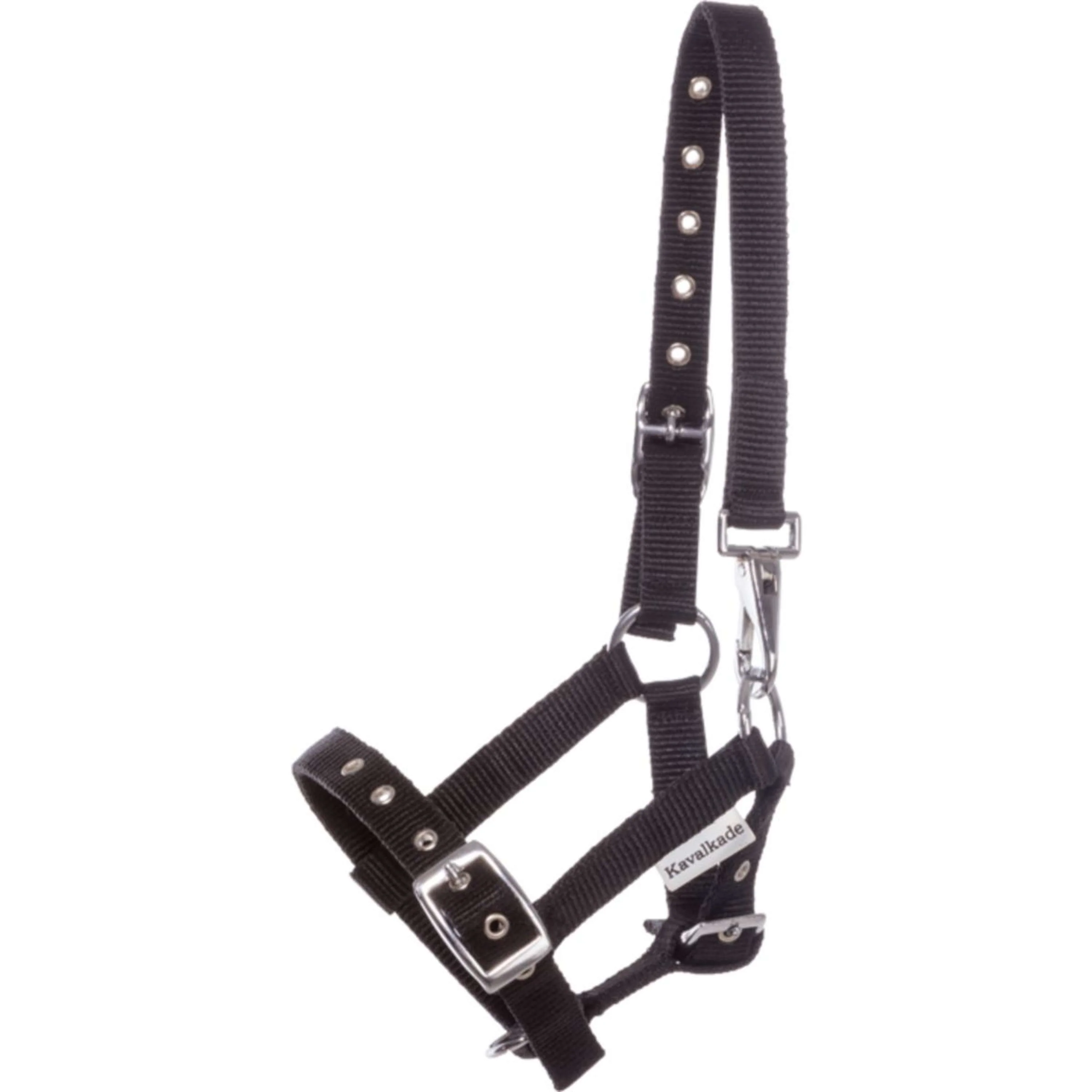 Kavalkade Cavezza per Puledro e Yearling Blu - Image 2