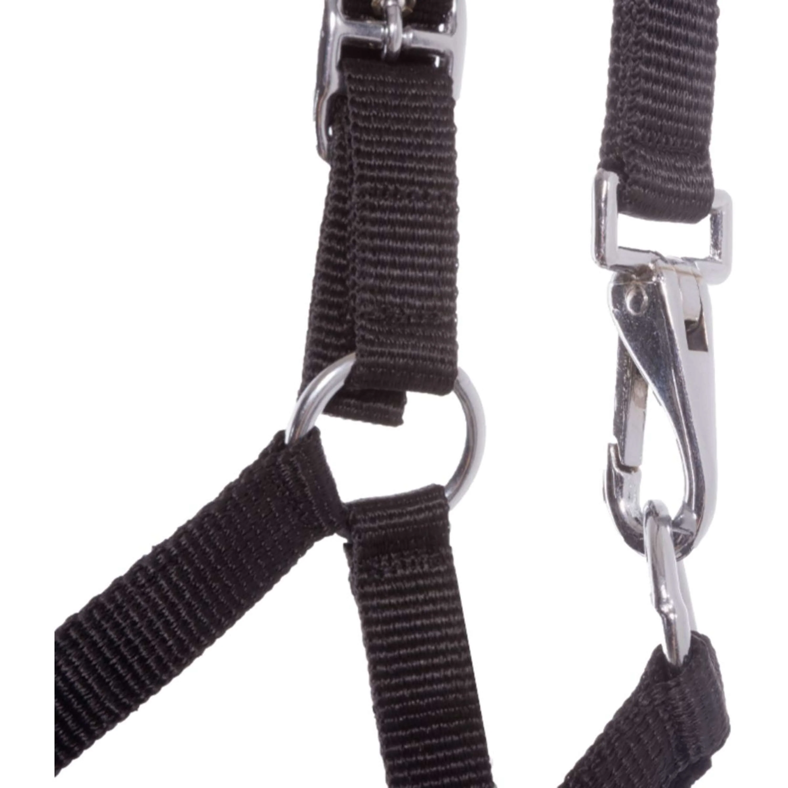 Kavalkade Cavezza per Puledro e Yearling Nero - Image 3