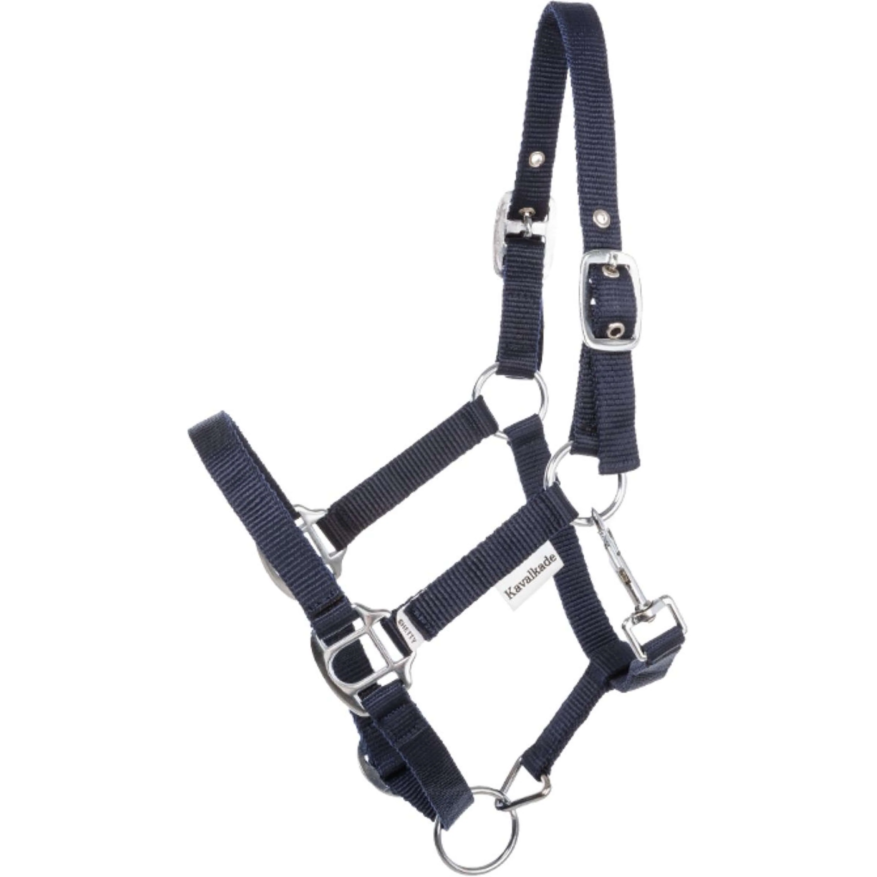 Kavalkade Cavezza Shorty Navy - Image 2