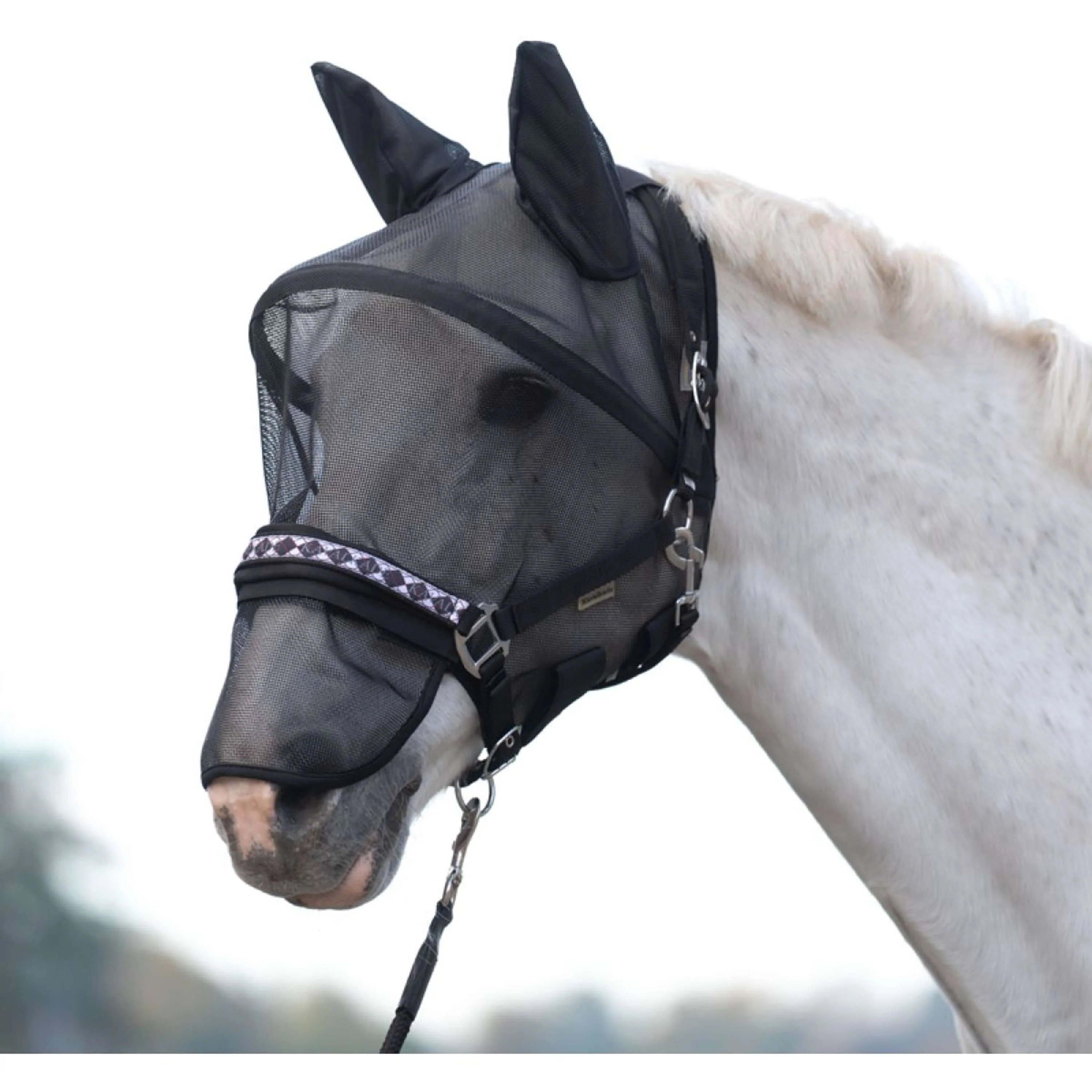Kavalkade Maschera per Mosche Beugel Nero