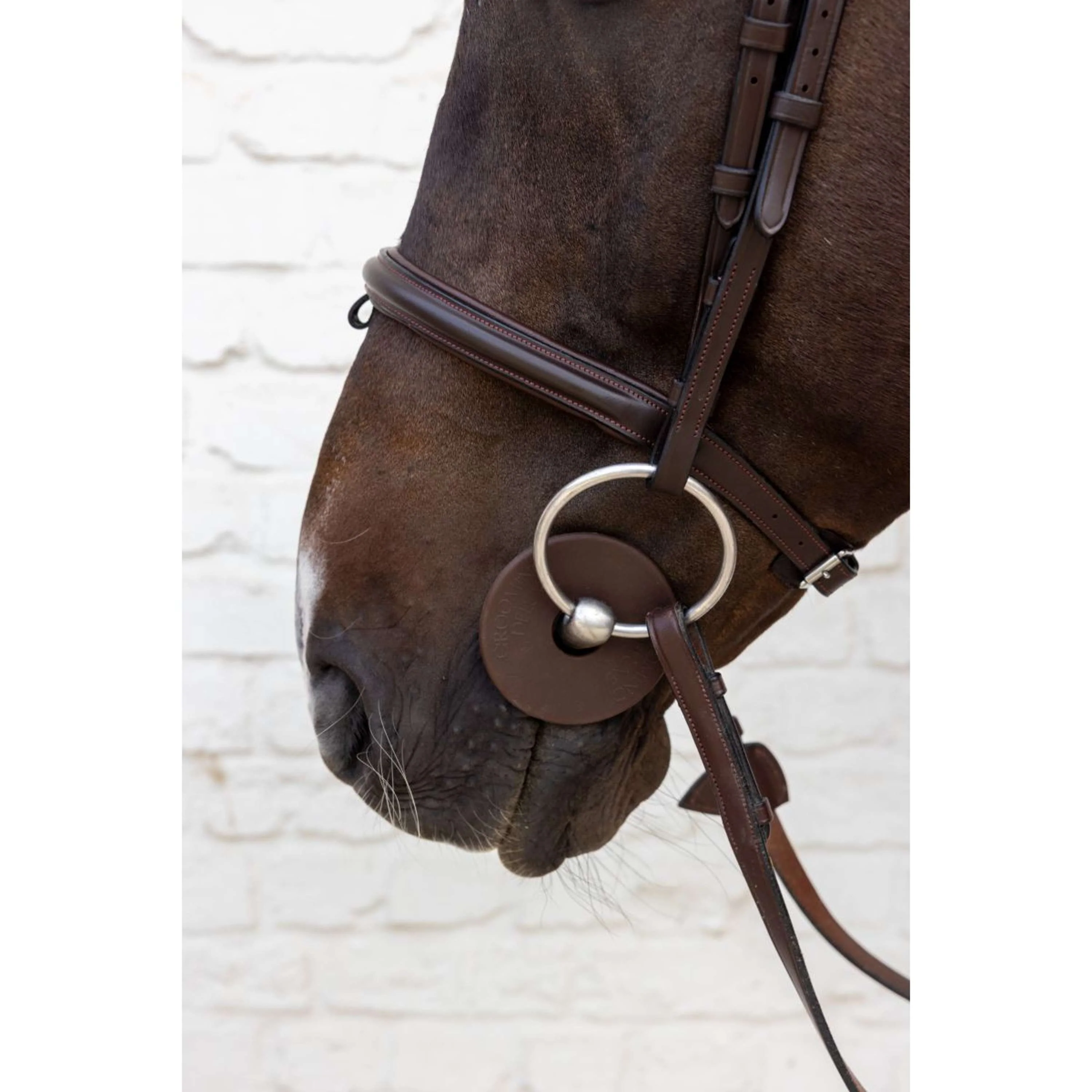 Kentucky Anelli da filetto Bit Guard Marrone - Image 2
