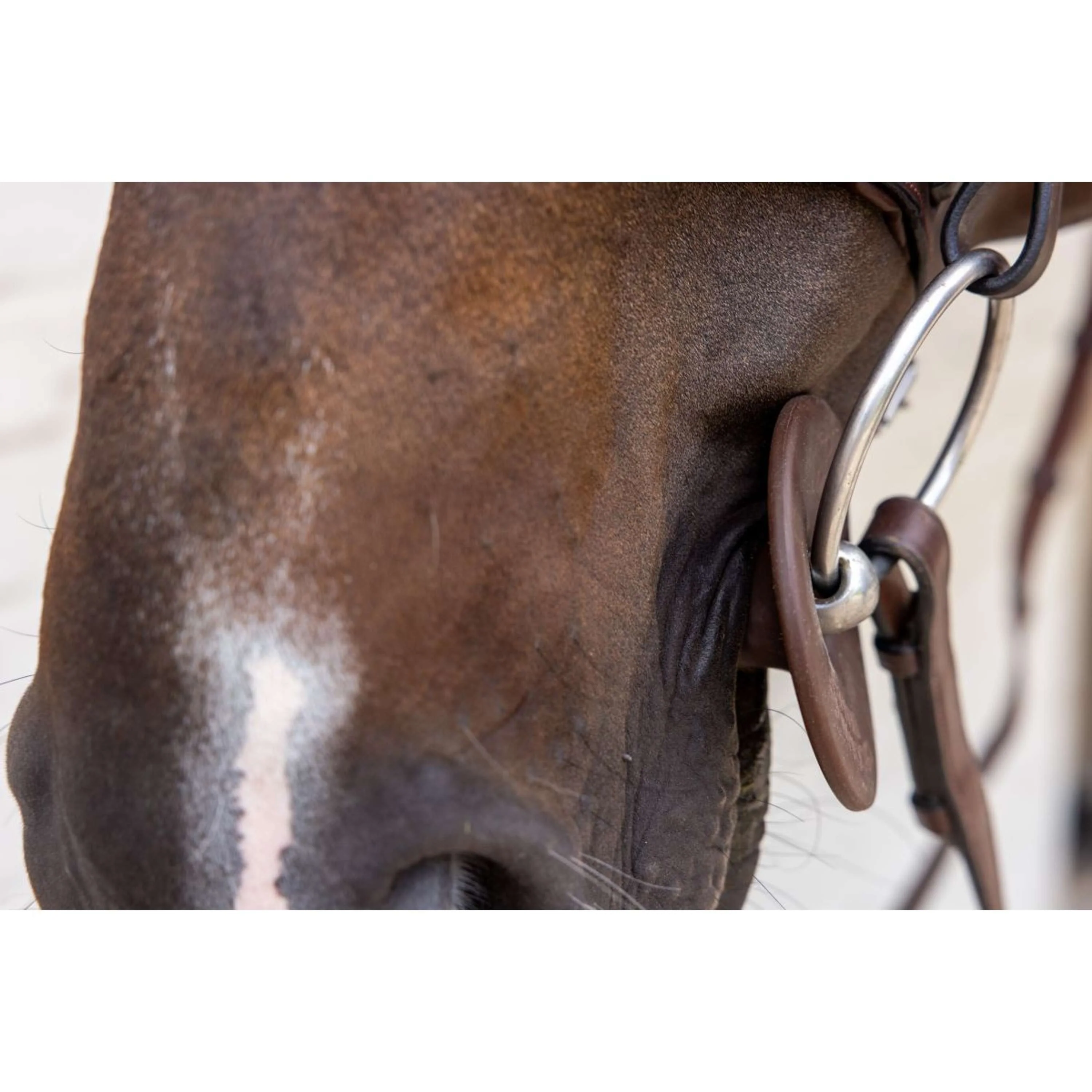 Kentucky Anelli da filetto Bit Ring Marrone - Image 3