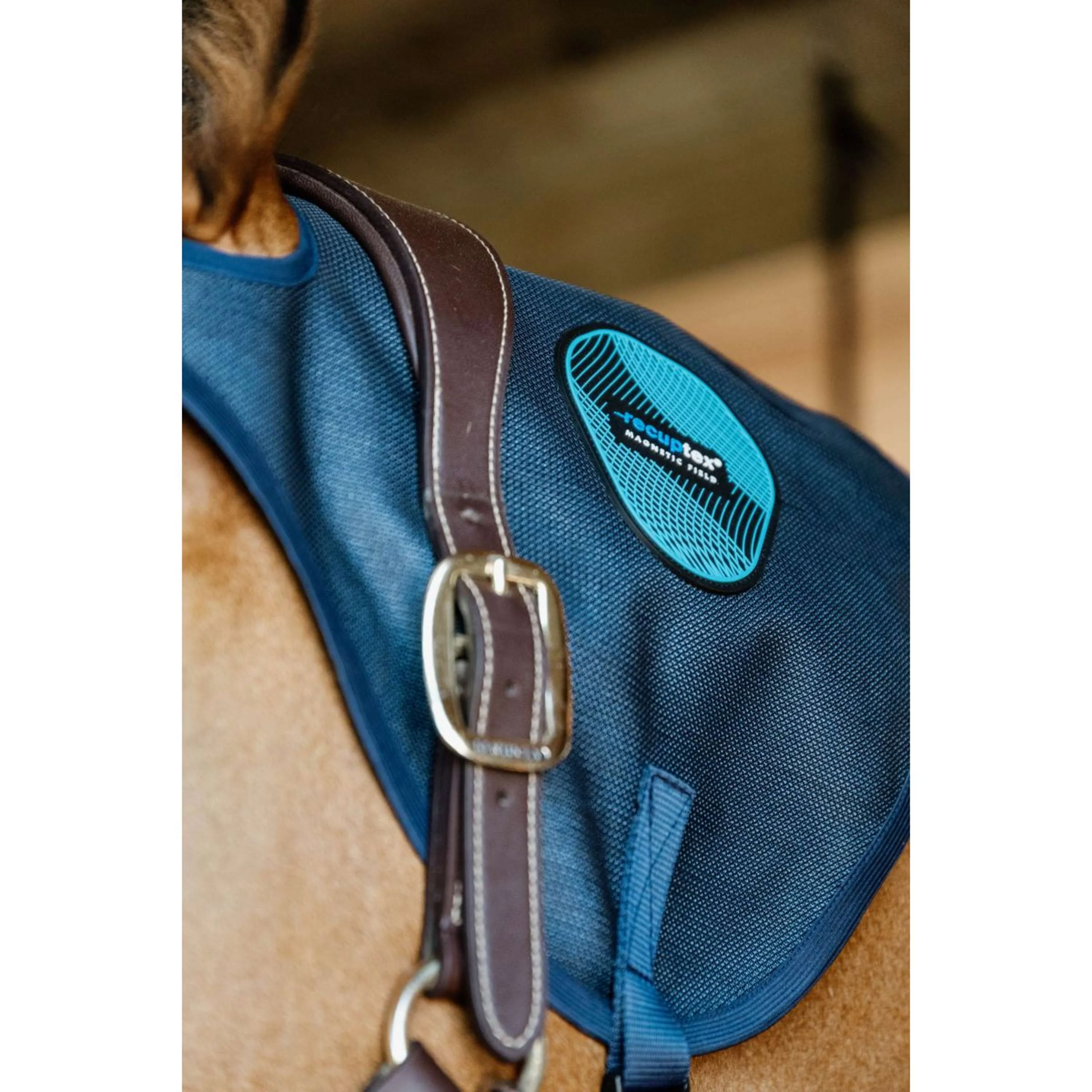 Kentucky Collare magnetico Recuptex Blu - Image 2
