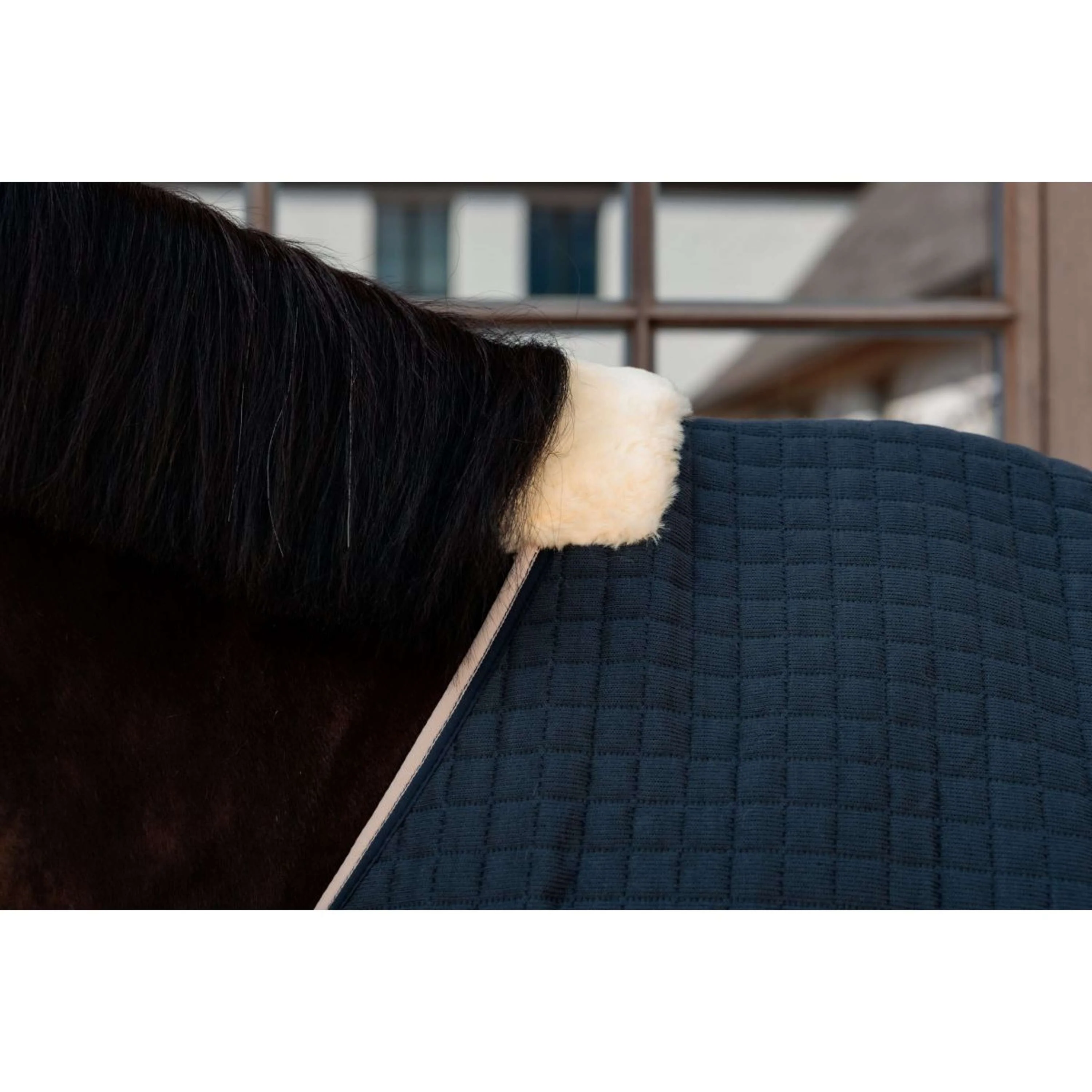 Kentucky Cooler PROTherm Navy - Image 6