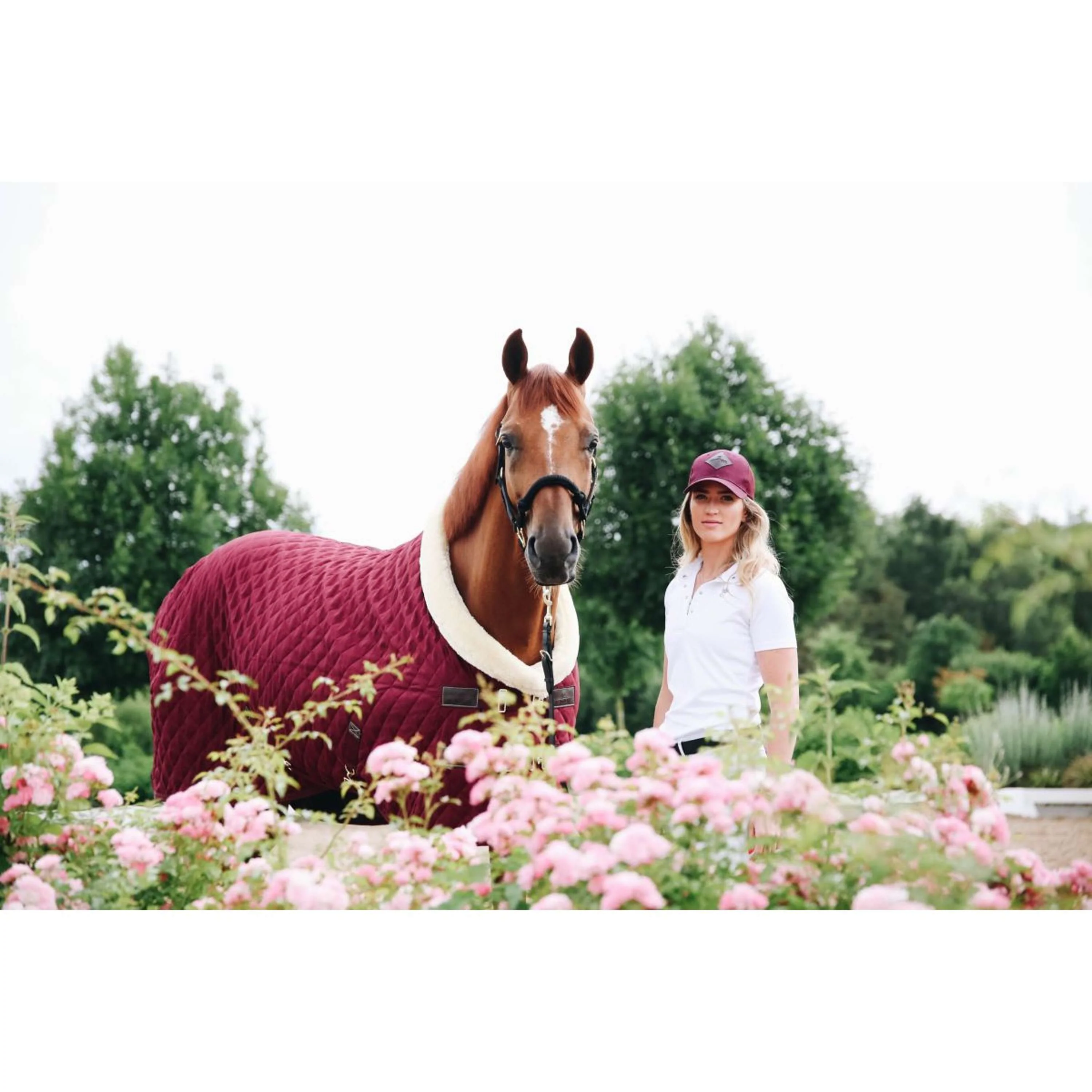 Kentucky Coperta da esposizione 160g Bordeaux - Image 8