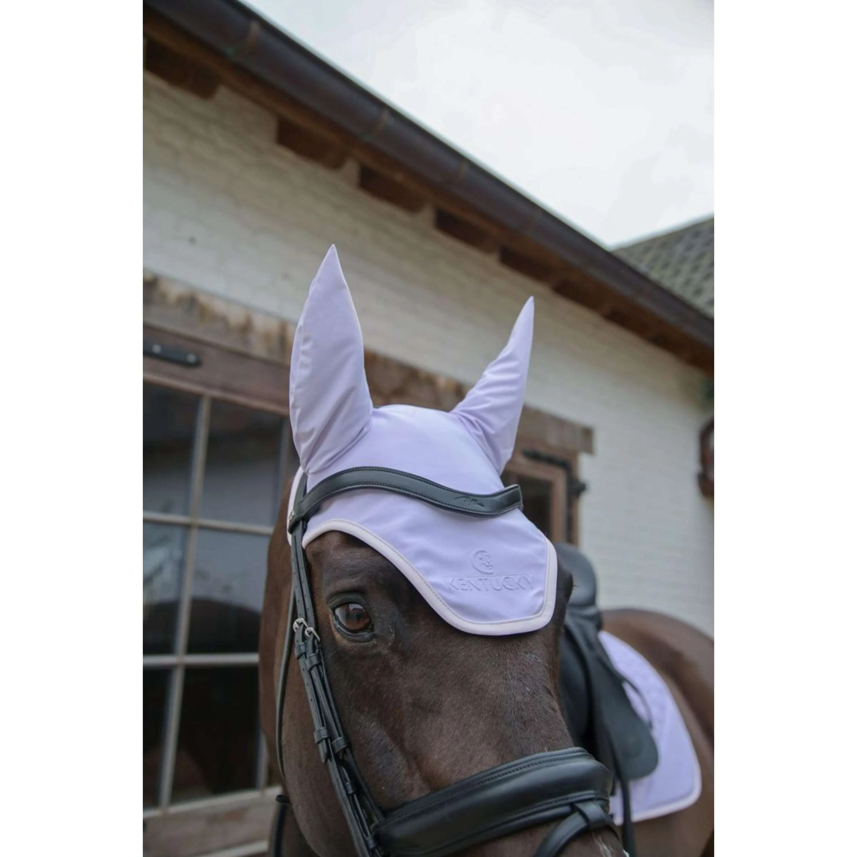 Kentucky Horsewear Cuffietta Wellington Softshell Viola chiaro/Rosa chiaro - Image 2