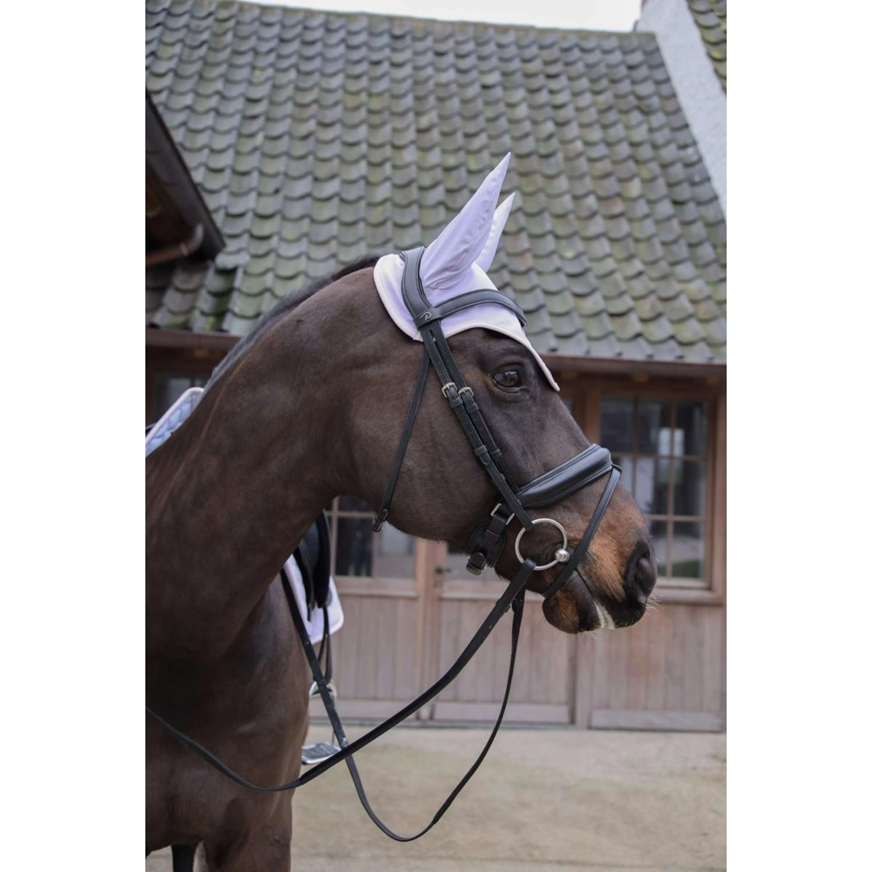 Kentucky Horsewear Cuffietta Wellington Softshell Viola chiaro/Rosa chiaro - Image 3