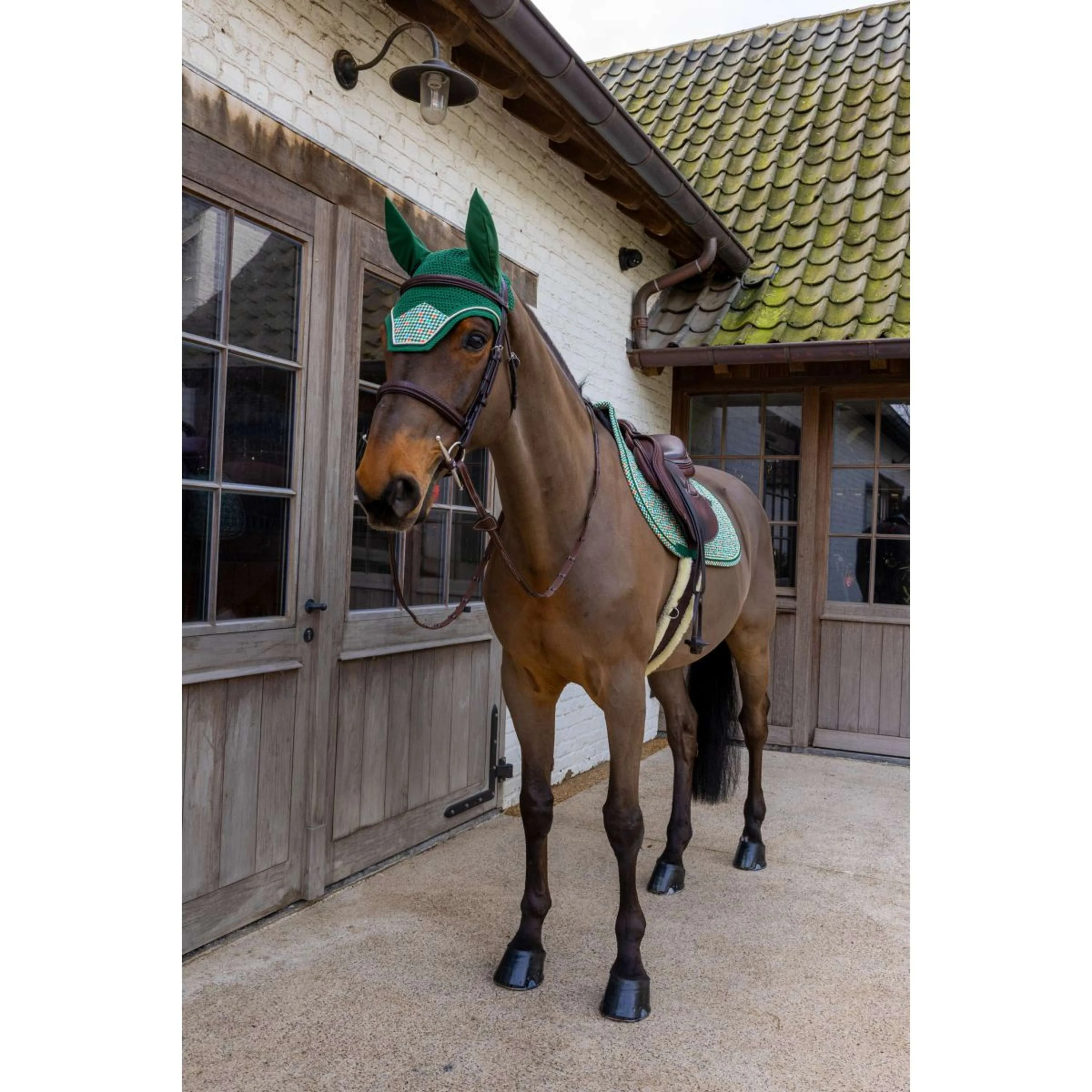 Kentucky Cuffietta Wellington Velvet Pied De Poule Verde scuro - Image 3