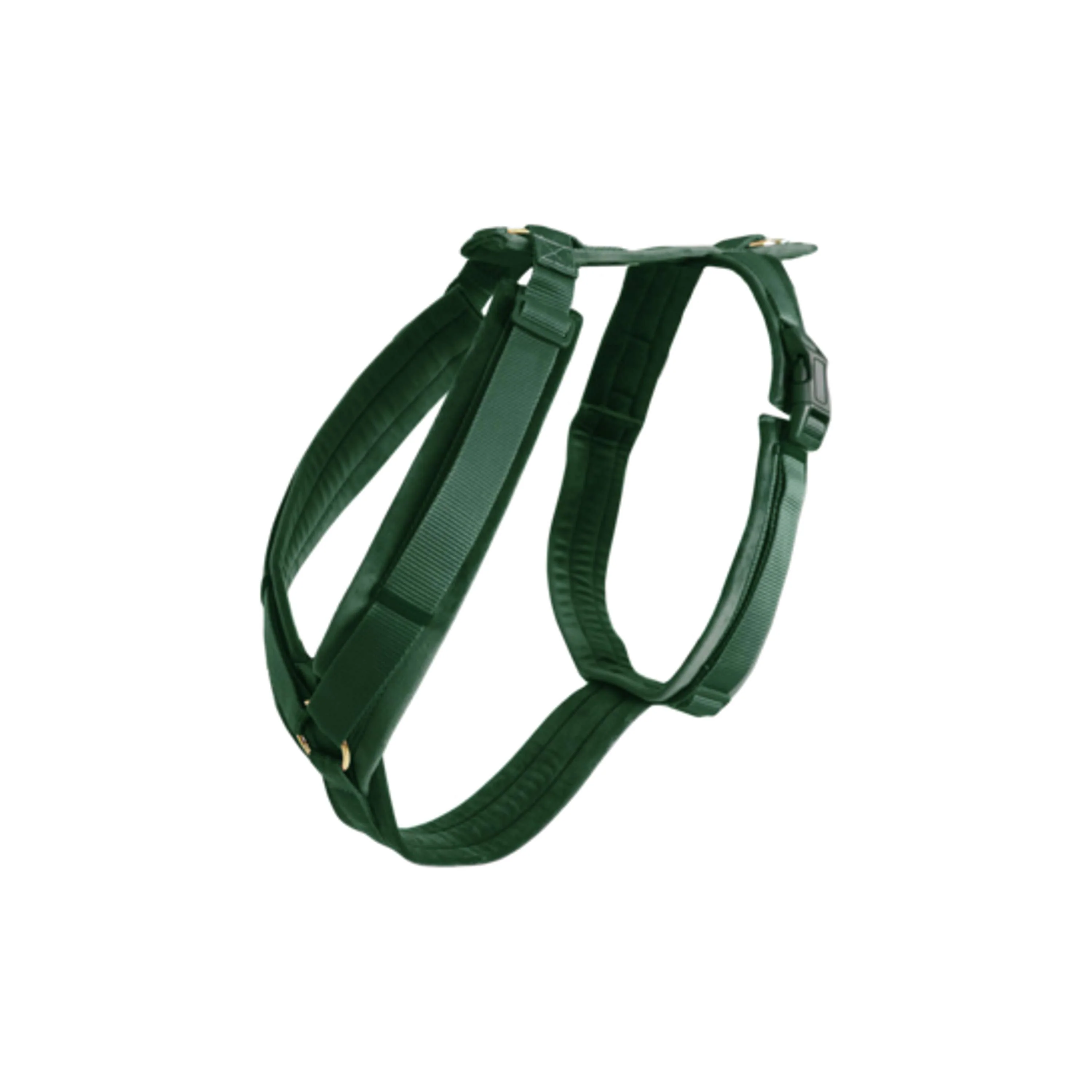 Kentucky Dogwear Imbracatura Active Velvet Pine Green - Image 4