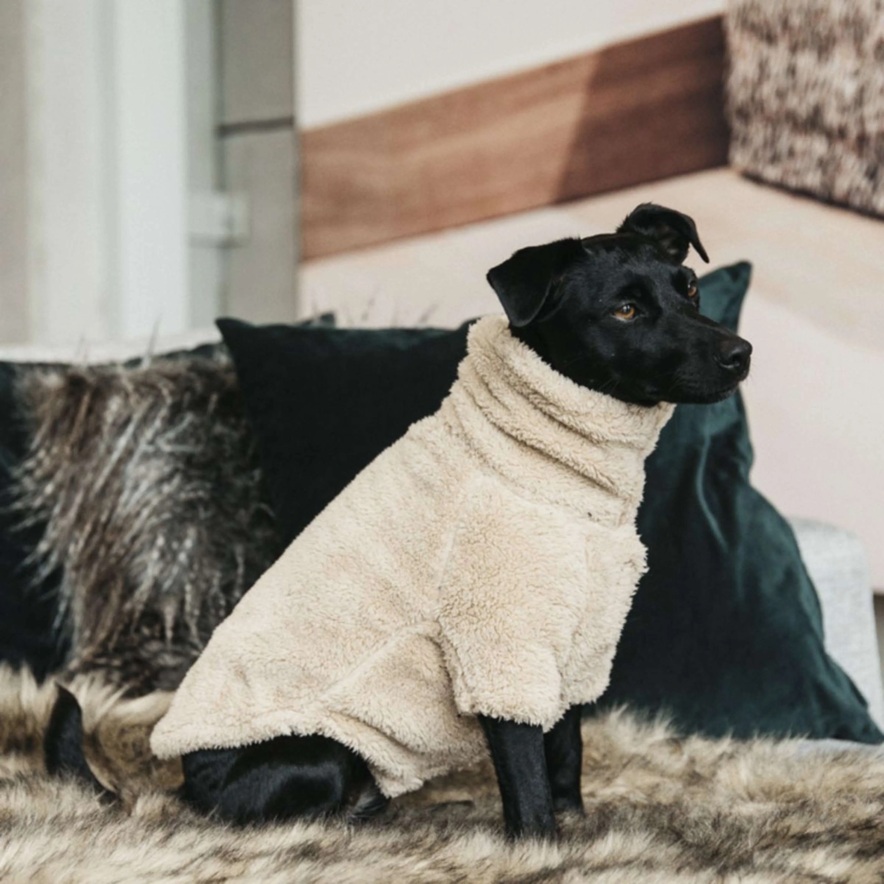 Kentucky Dogwear Maglione Beige