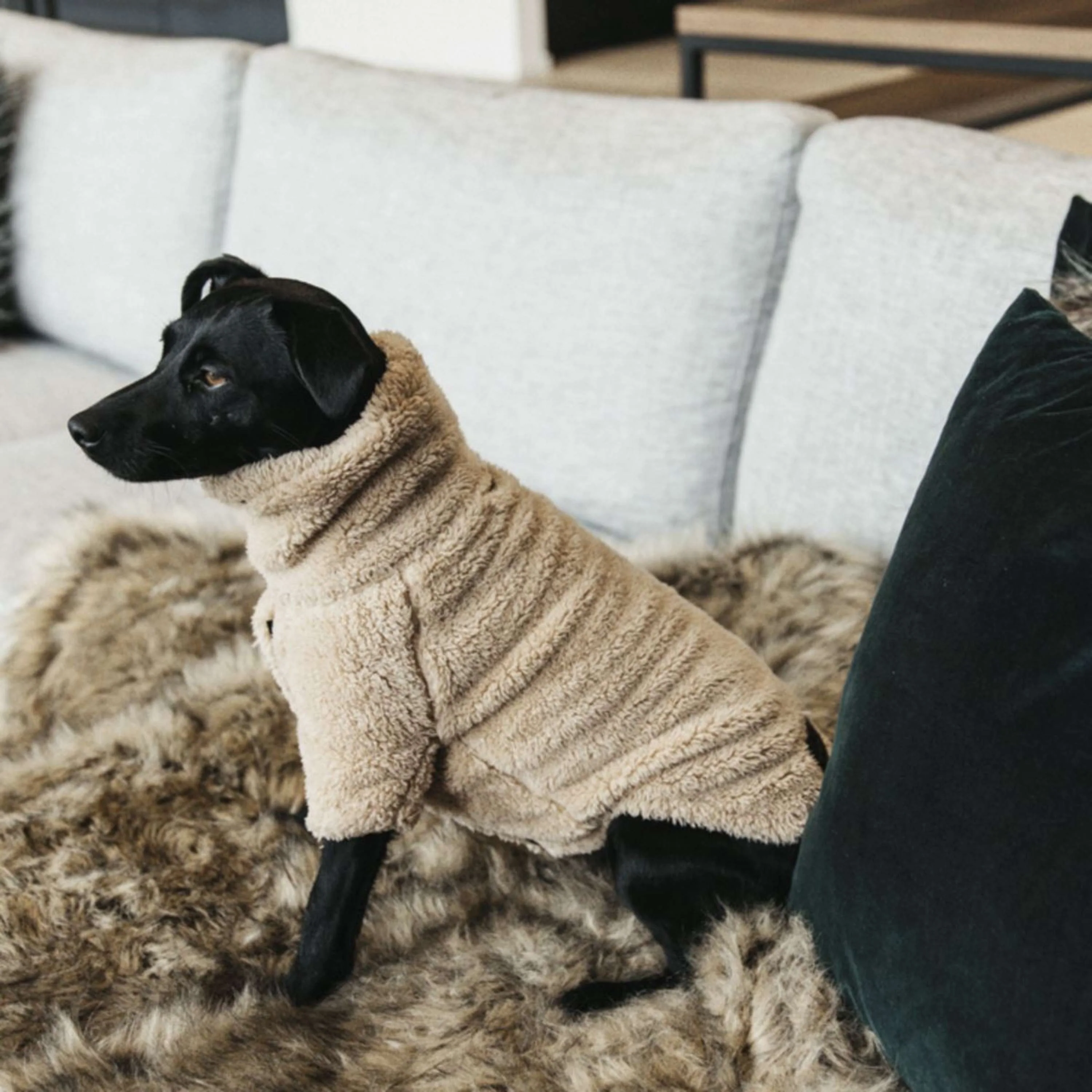 Kentucky Dogwear Maglione Beige - Image 2
