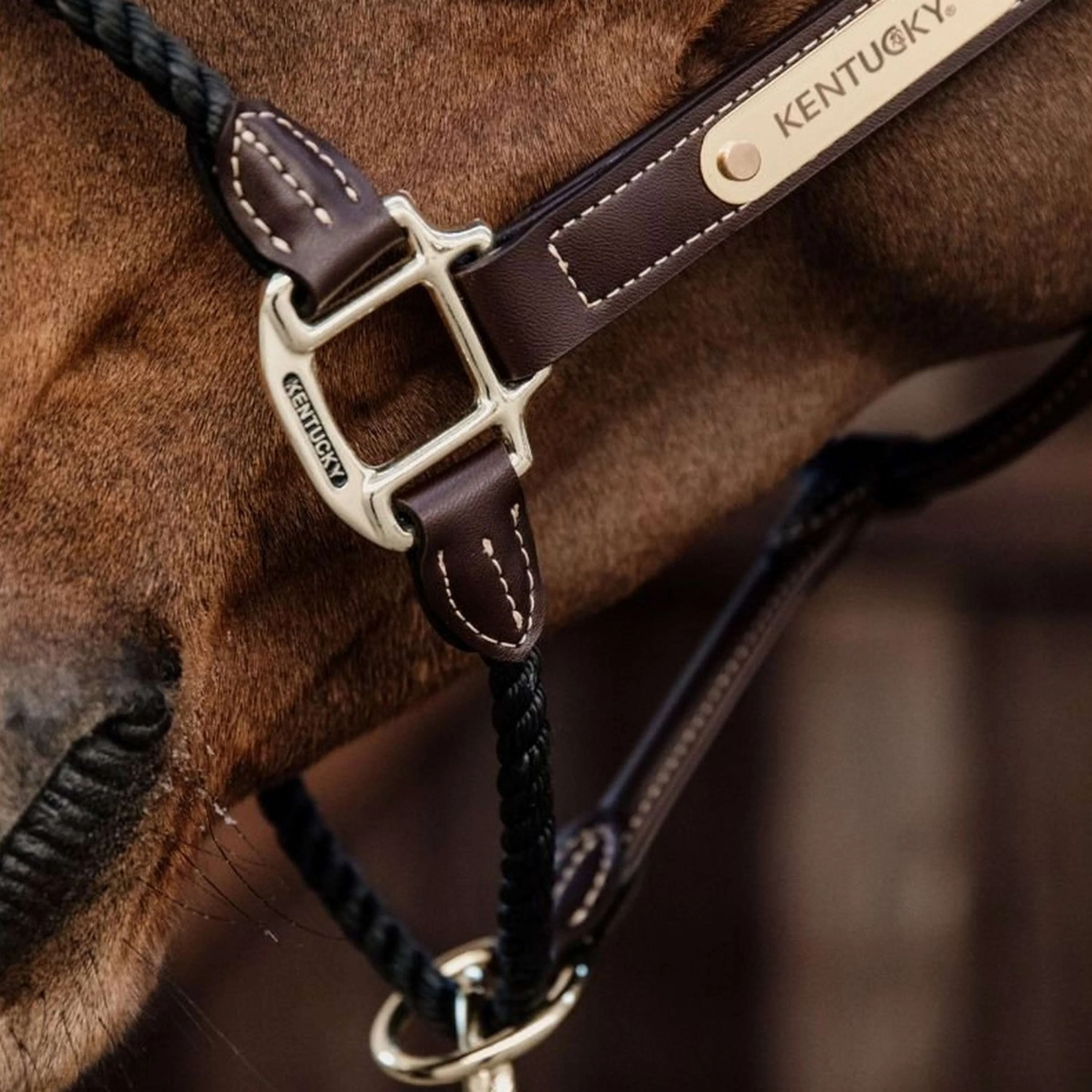 Kentucky Horsewear Cavezza in Pelle e Corda Nero - Image 4