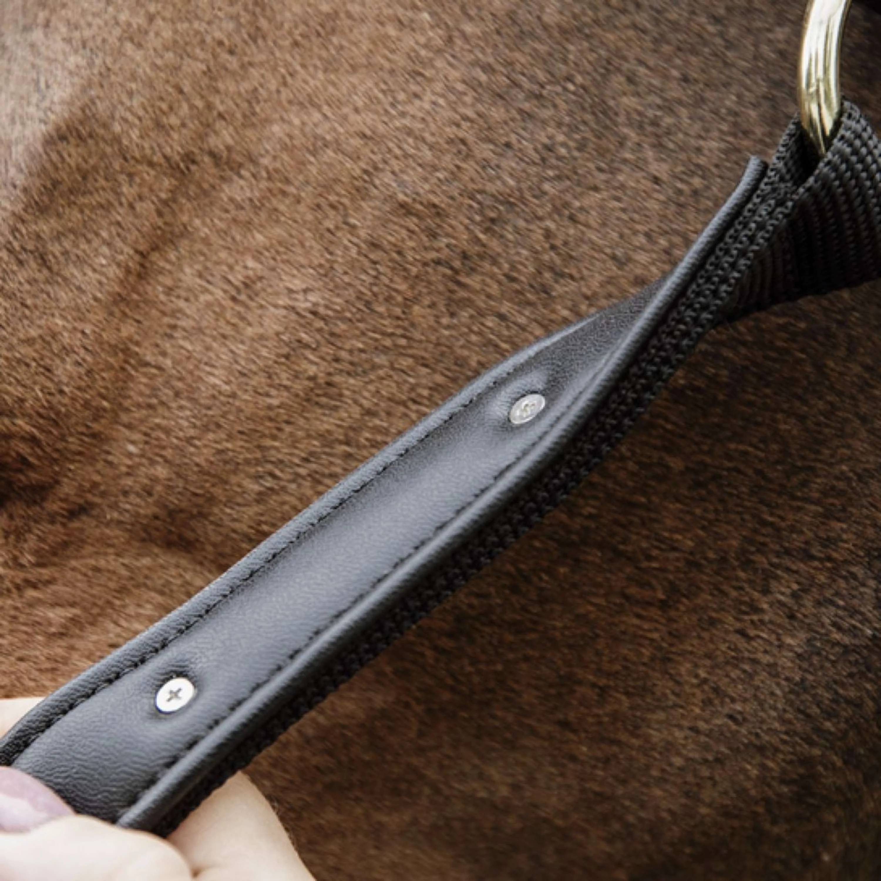 Kentucky Horsewear Cavezza Anatomic Nylon Nero - Image 5