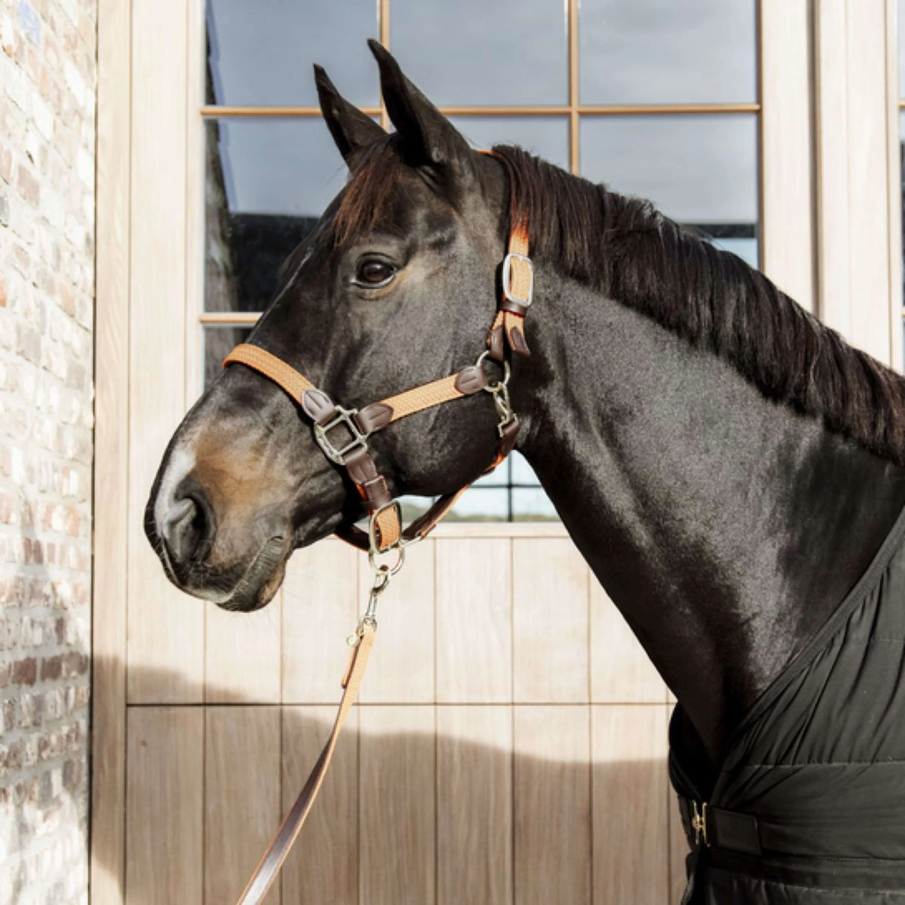 Kentucky Horsewear Cavezza Nylon intrecciato Arancia - Image 3