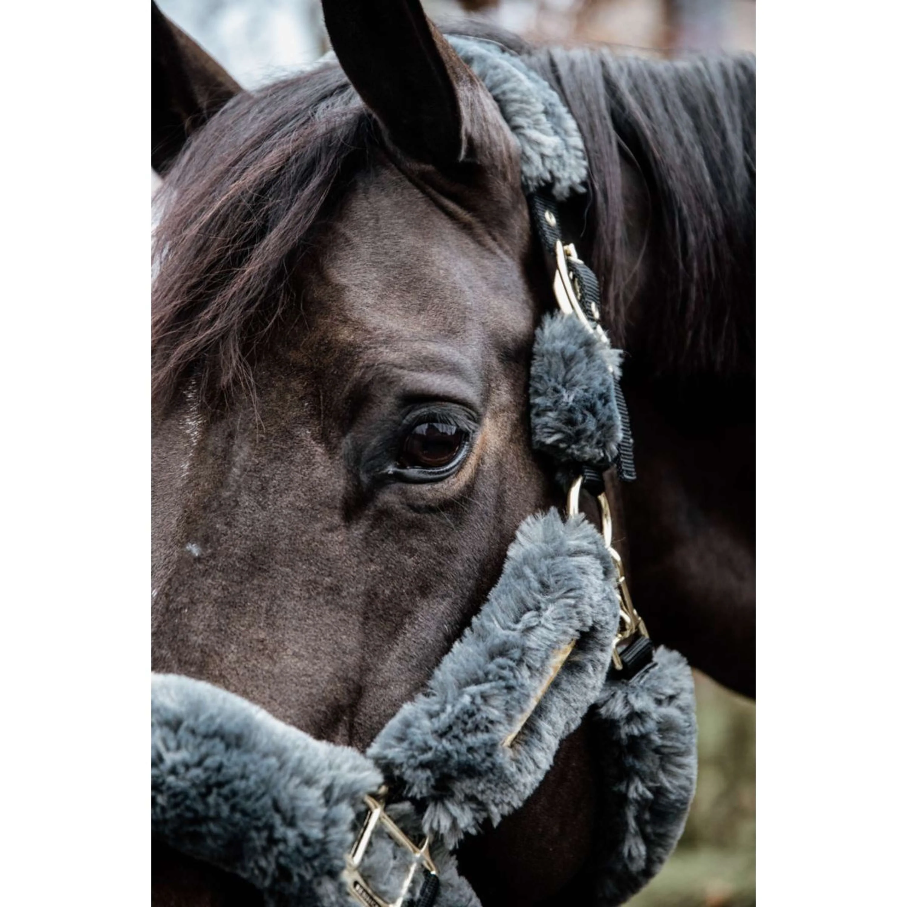Kentucky Horsewear Cavezza Sheepskin Grigio - Image 4