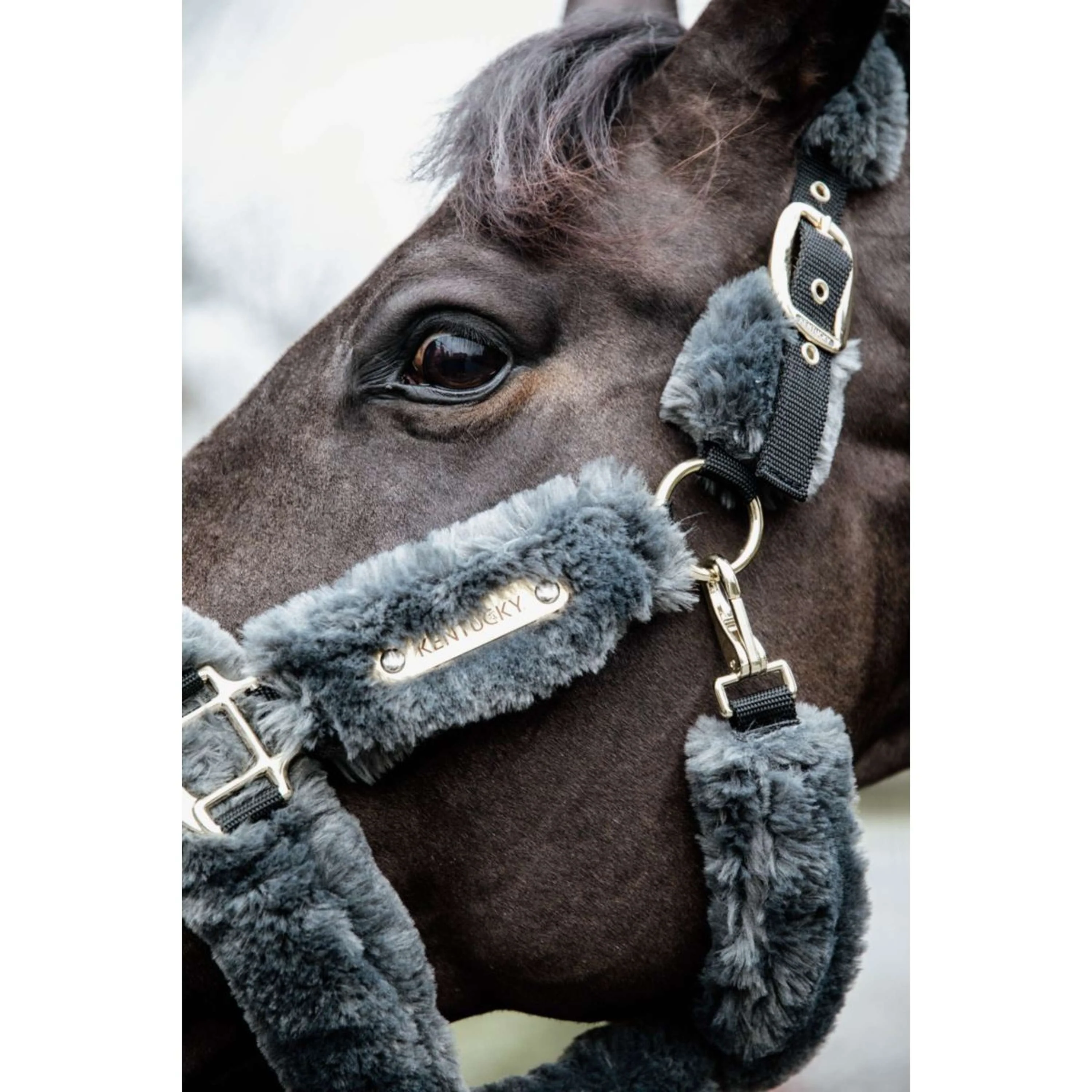 Kentucky Horsewear Cavezza Sheepskin Grigio - Image 5