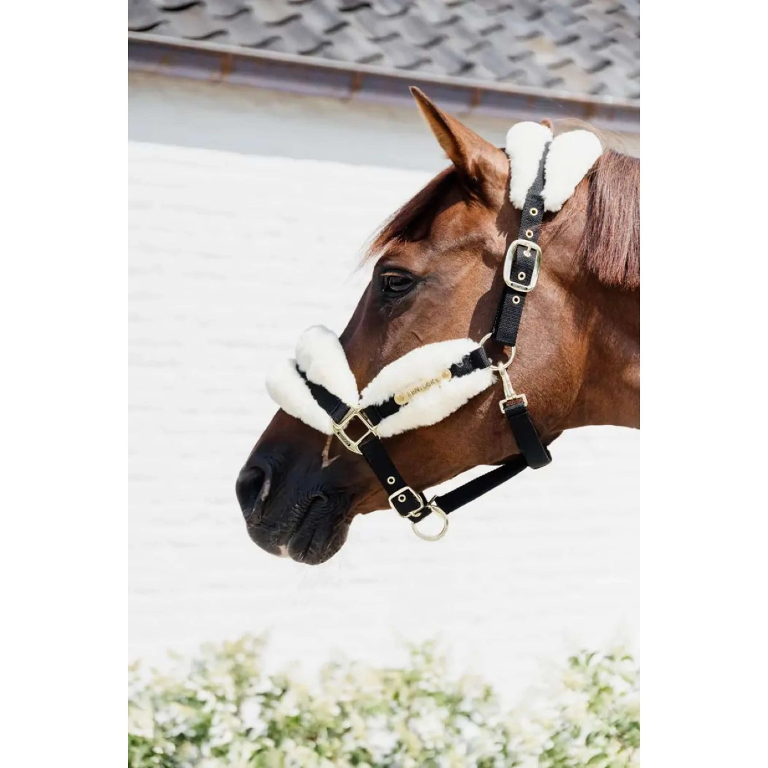 Kentucky Horsewear Cavezza Nylon Lana Morbida Naturale - Image 2