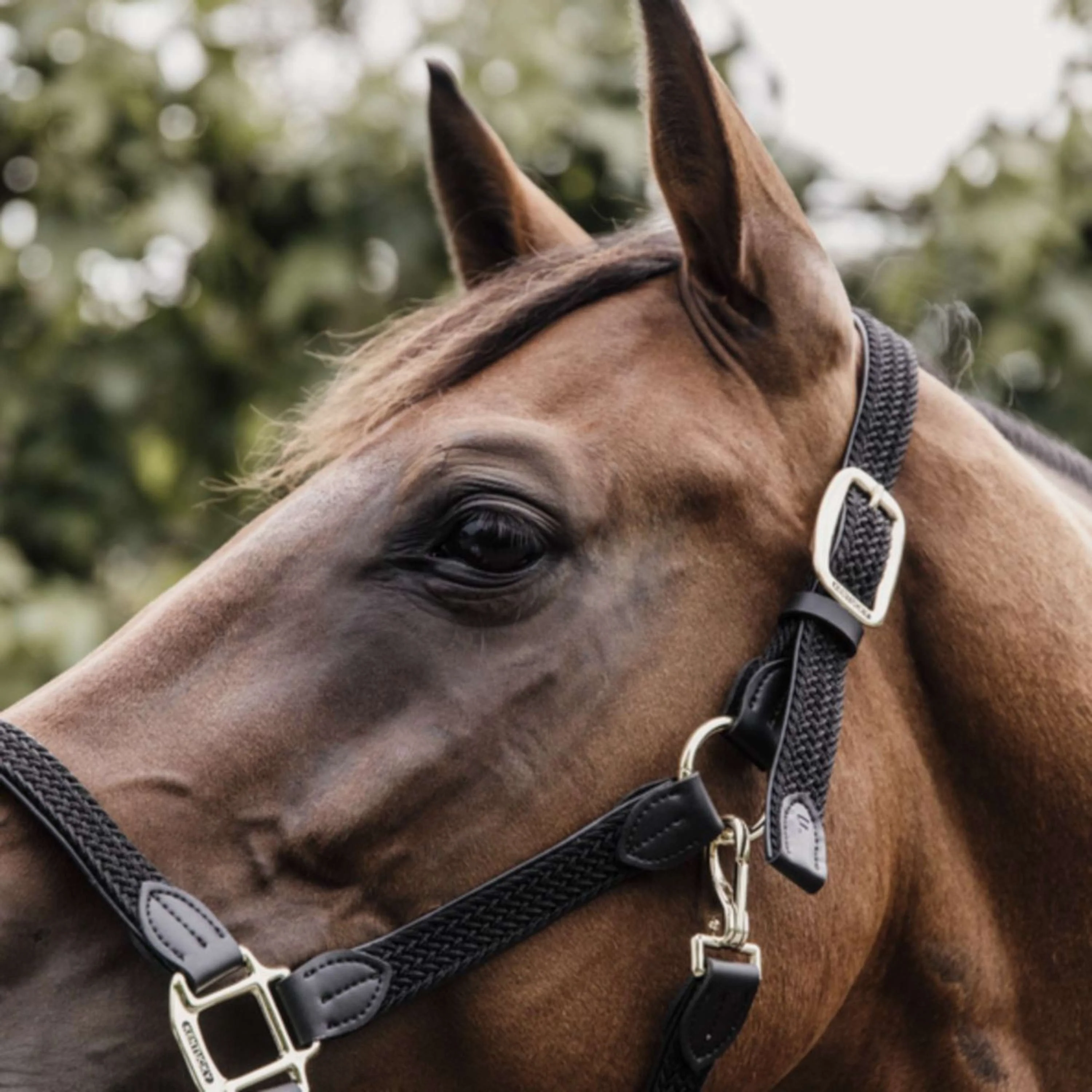 Kentucky Horsewear Cavezza Nylon intrecciato Nero - Image 3