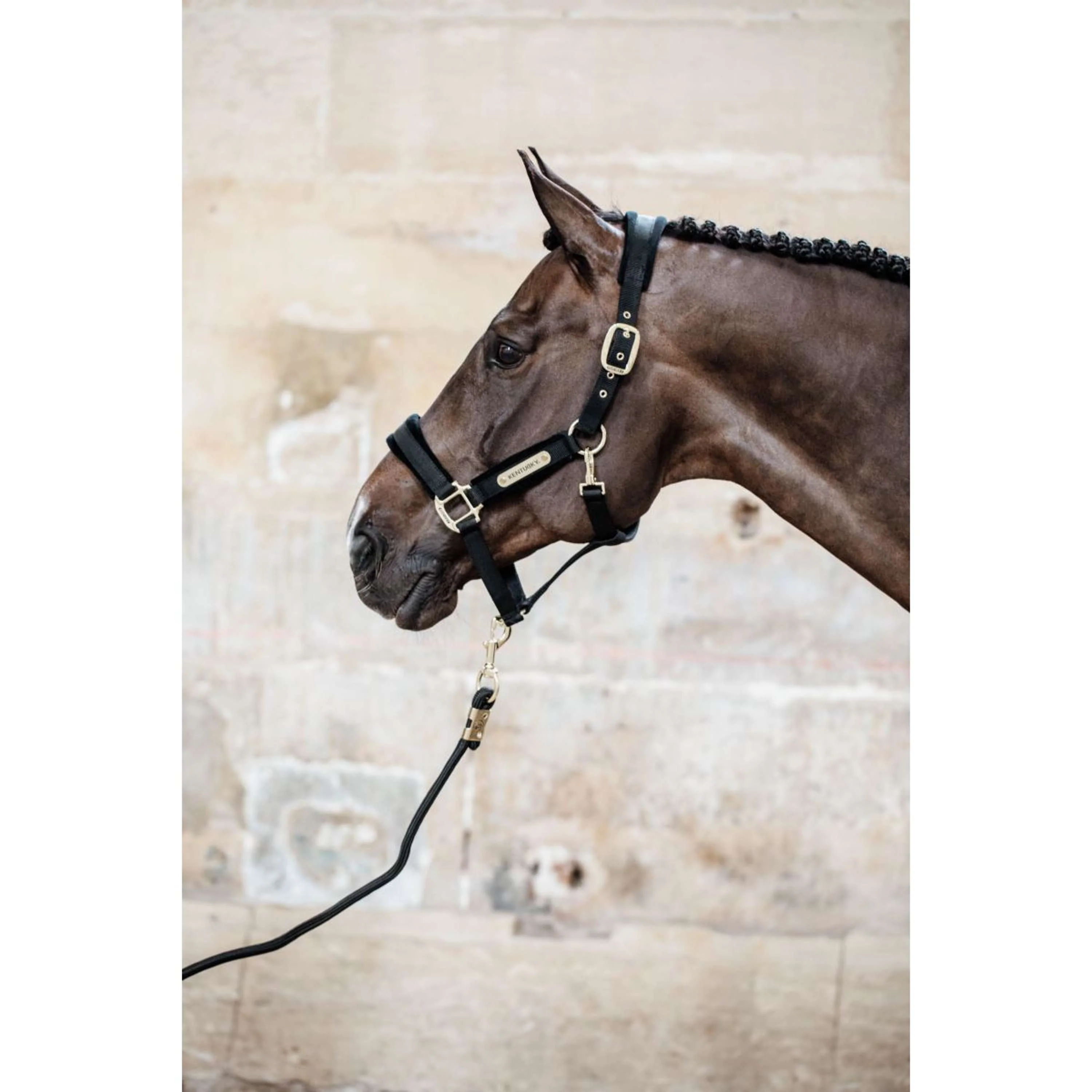 Kentucky Horsewear Cavezza Velvet Nero - Image 3