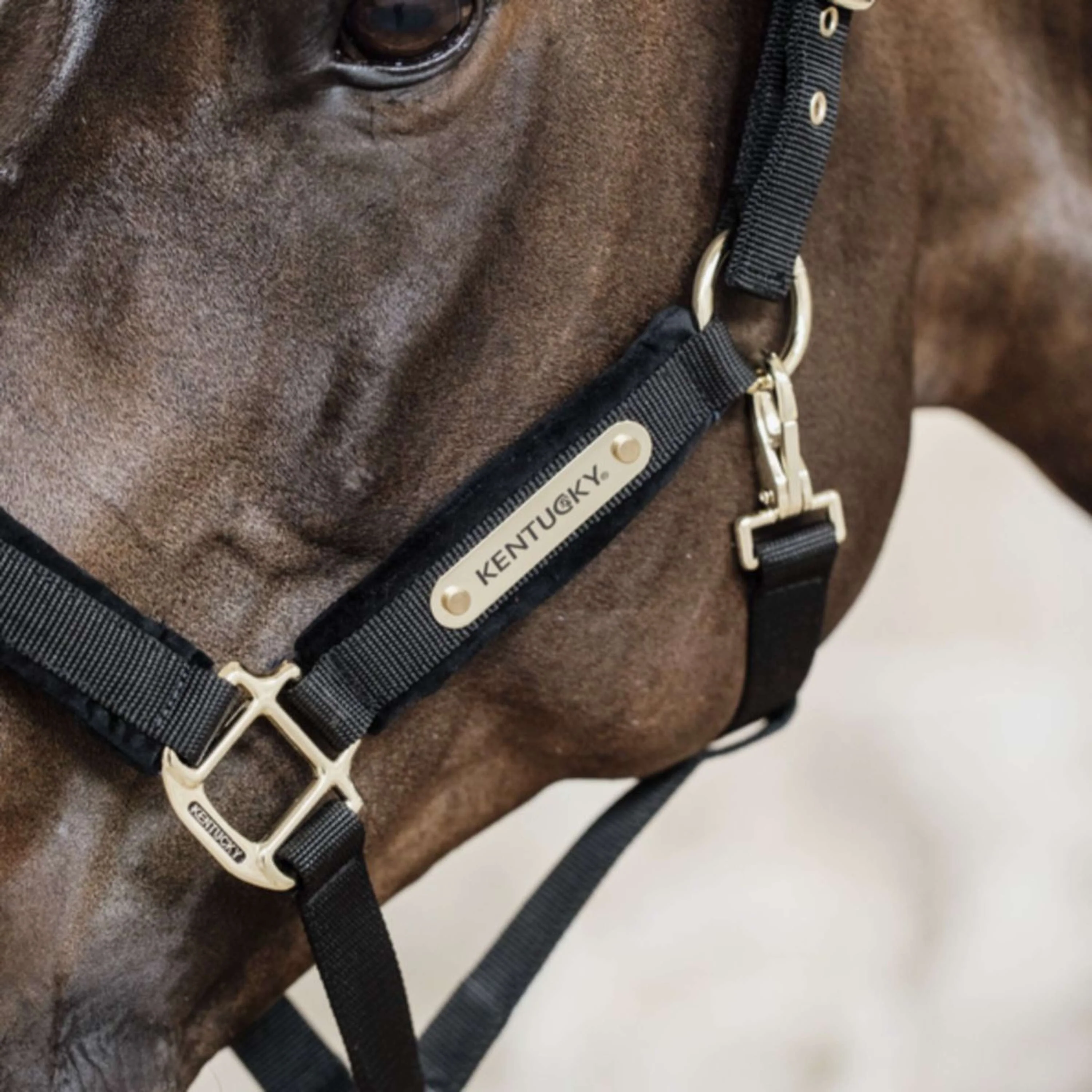 Kentucky Horsewear Cavezza Velvet Nero - Image 4
