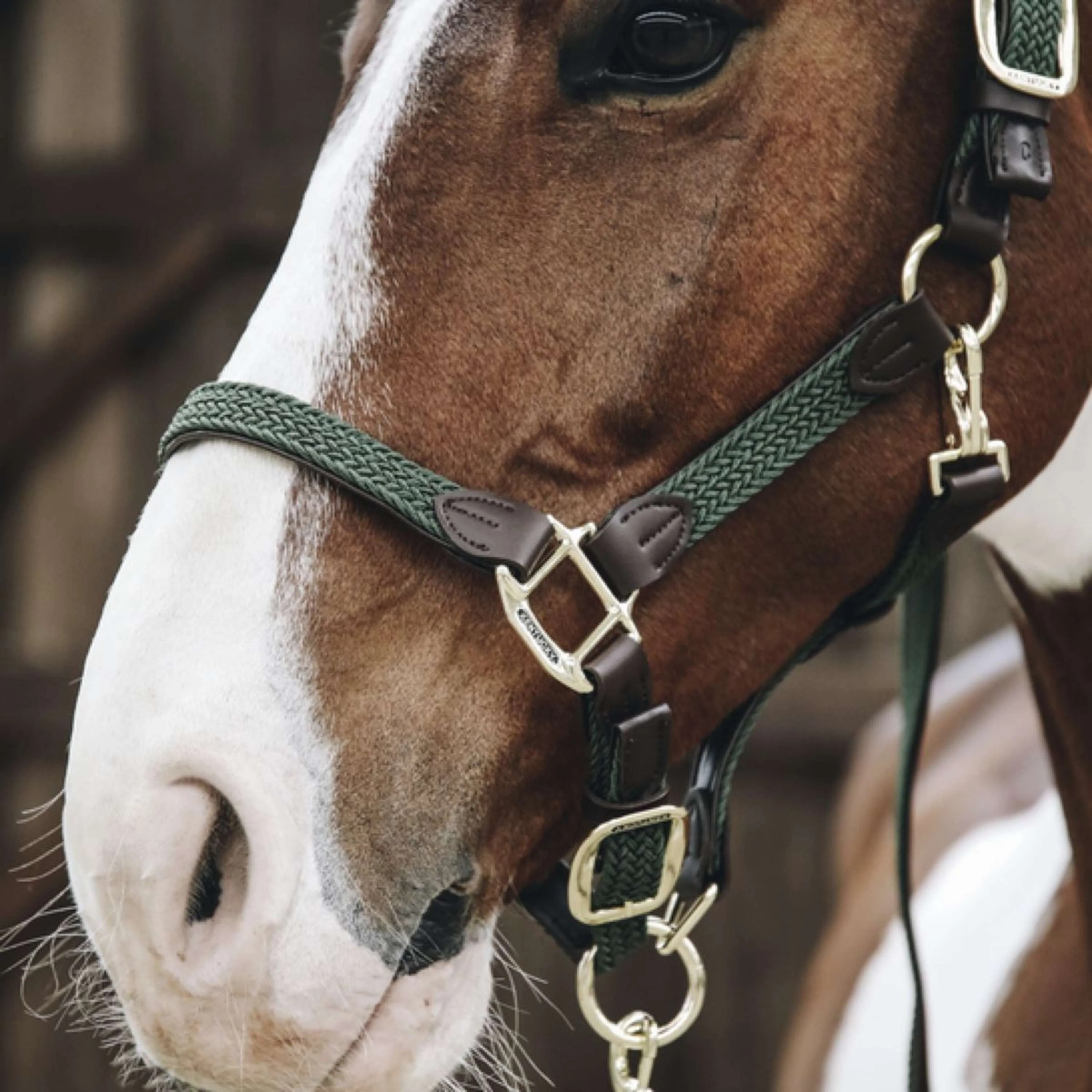 Kentucky Horsewear Cavezza Nylon intrecciato Verde Oliva - Image 3