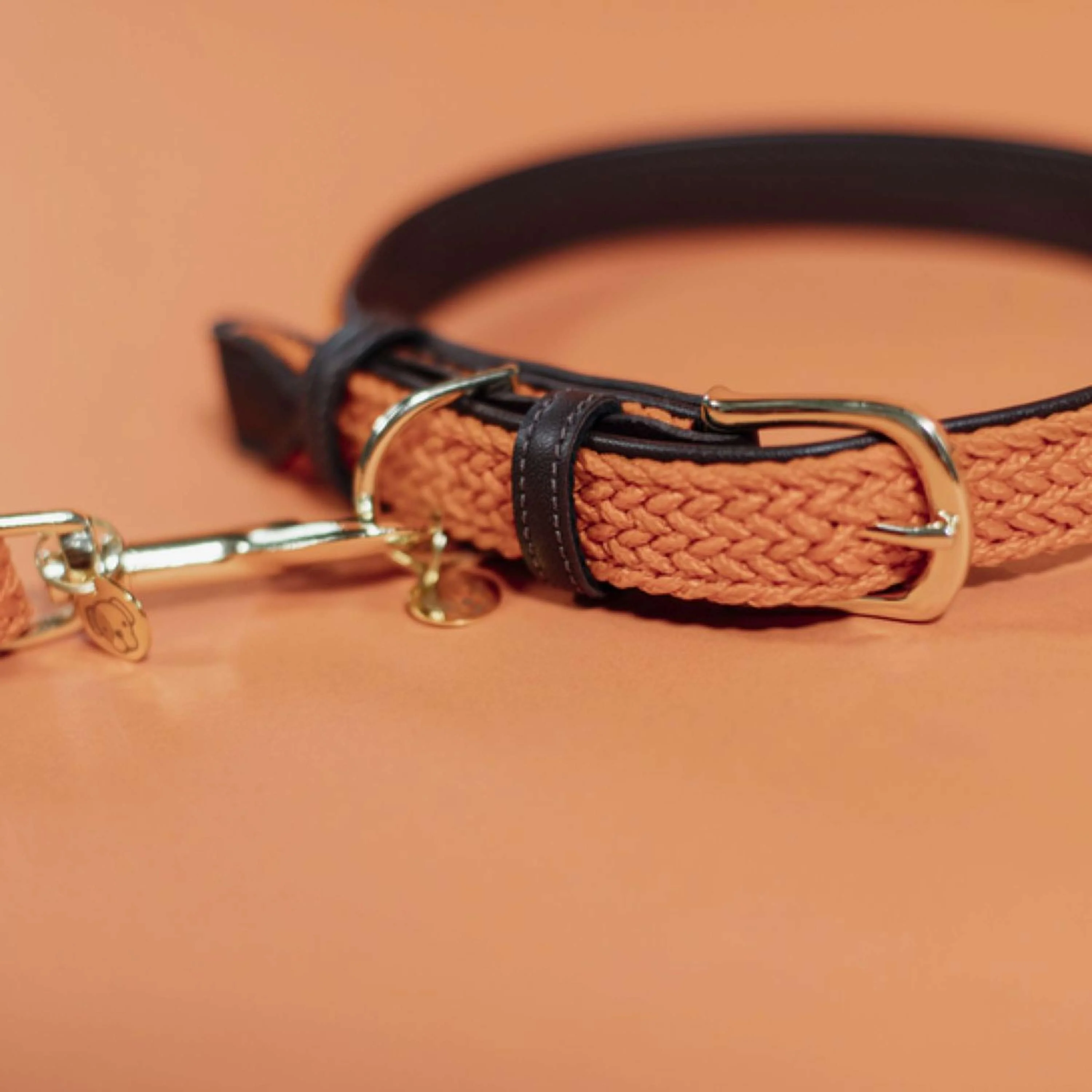 Kentucky Horsewear Halsband Nylon intrecciato per cani Arancia - Image 3