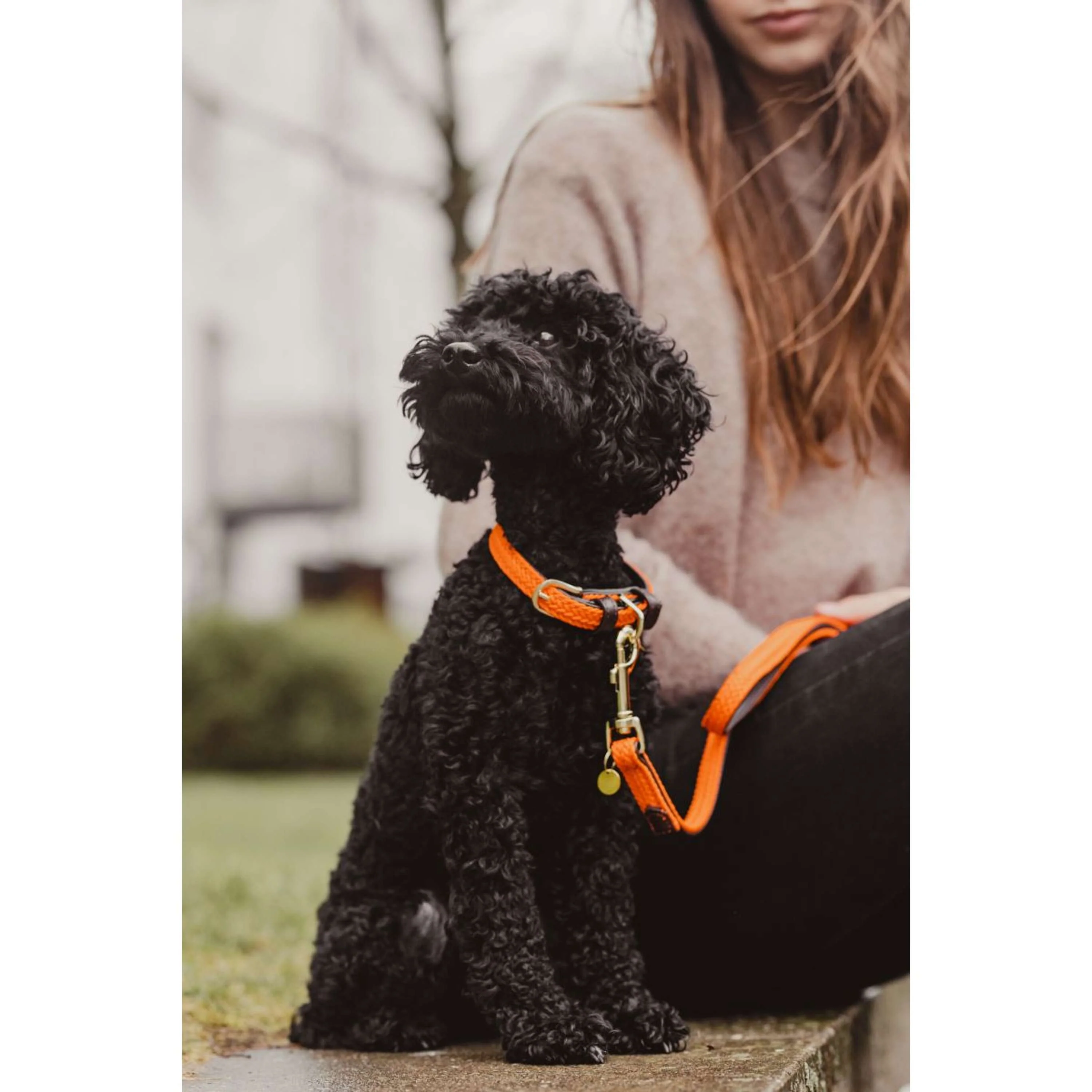 Kentucky Horsewear Halsband Nylon intrecciato per cani Arancia - Image 8