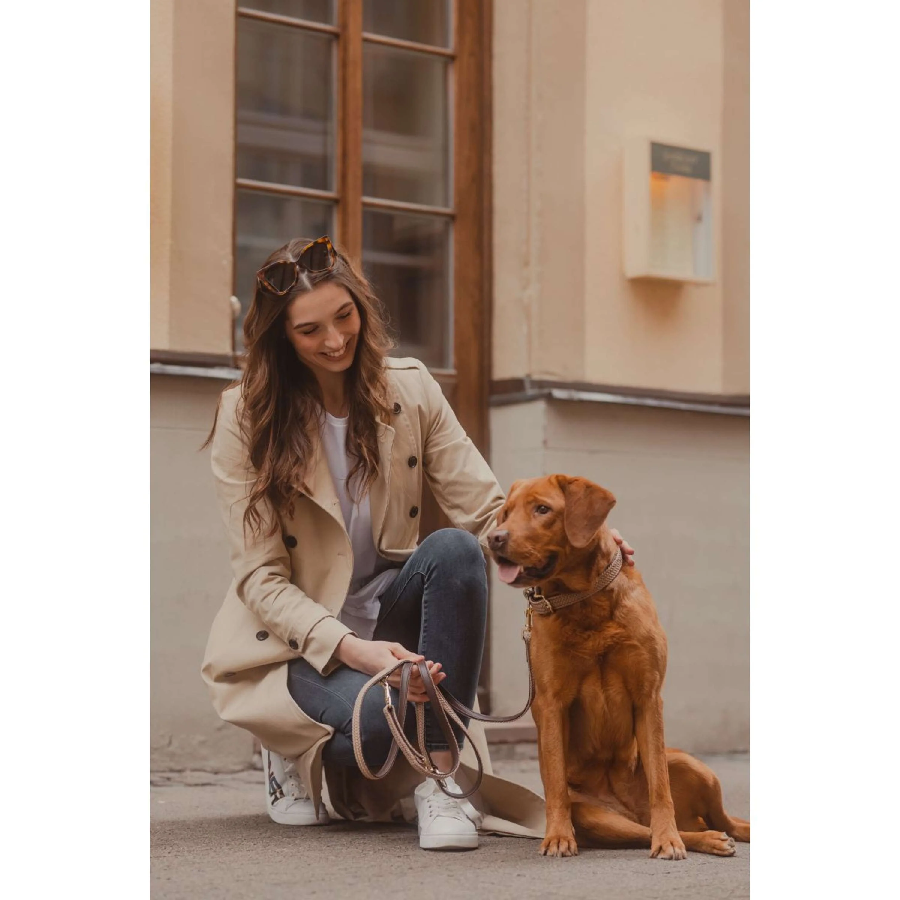 Kentucky Horsewear Collare Beige - Image 8