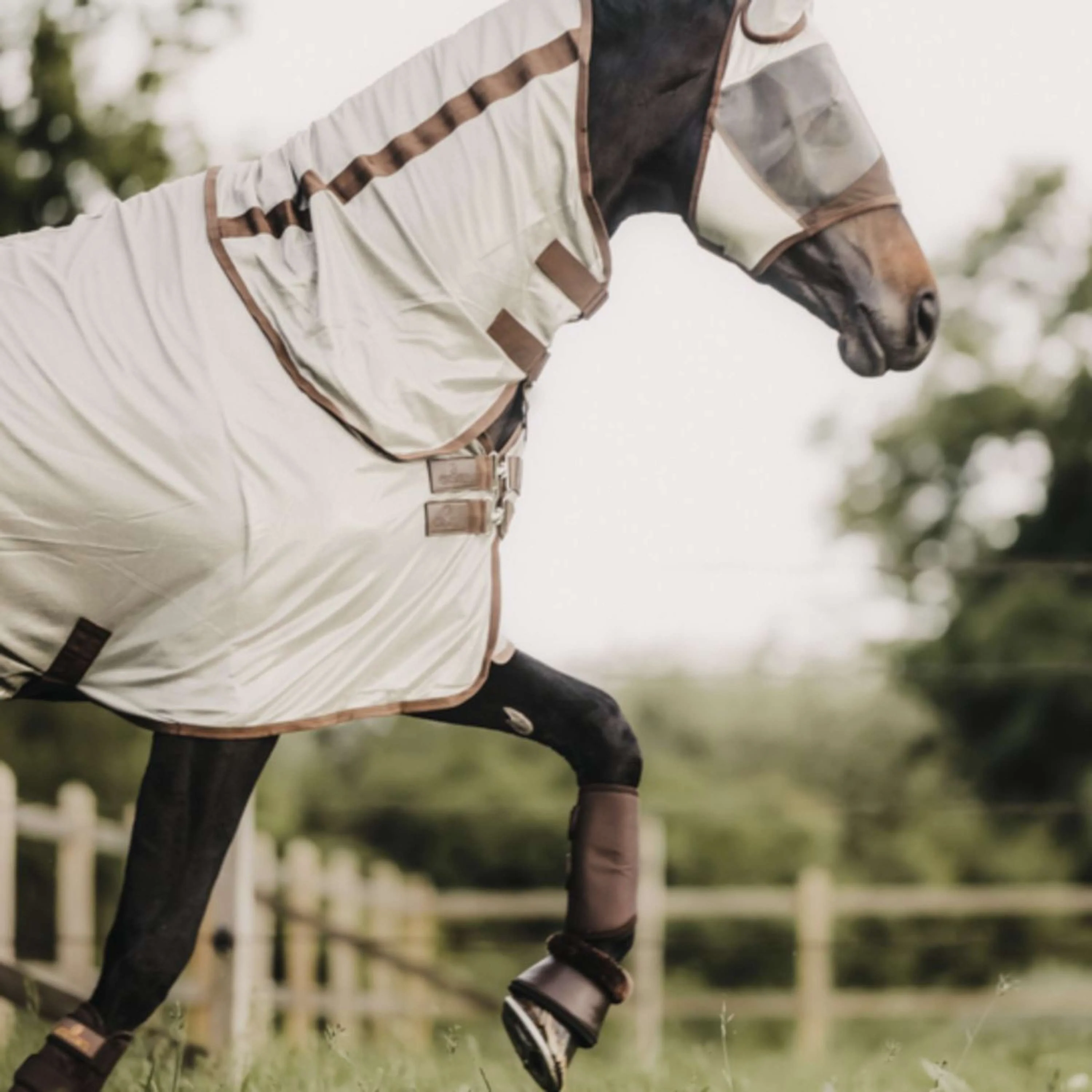 Kentucky Horsewear Coperta Antimosche Classic Argento - Image 3