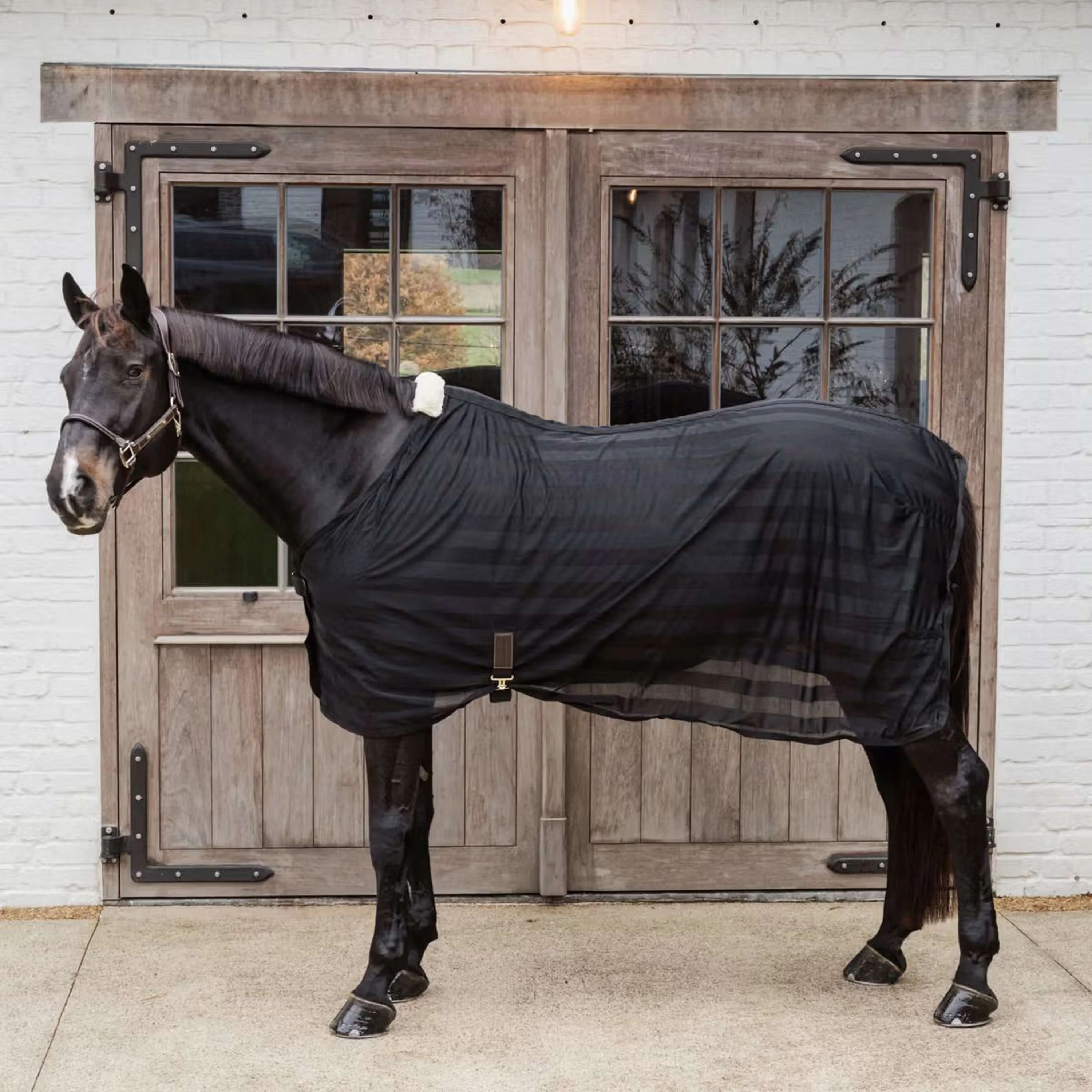 Kentucky Horsewear Coperta Antimosche Light Striped Mesh Nero - Image 2