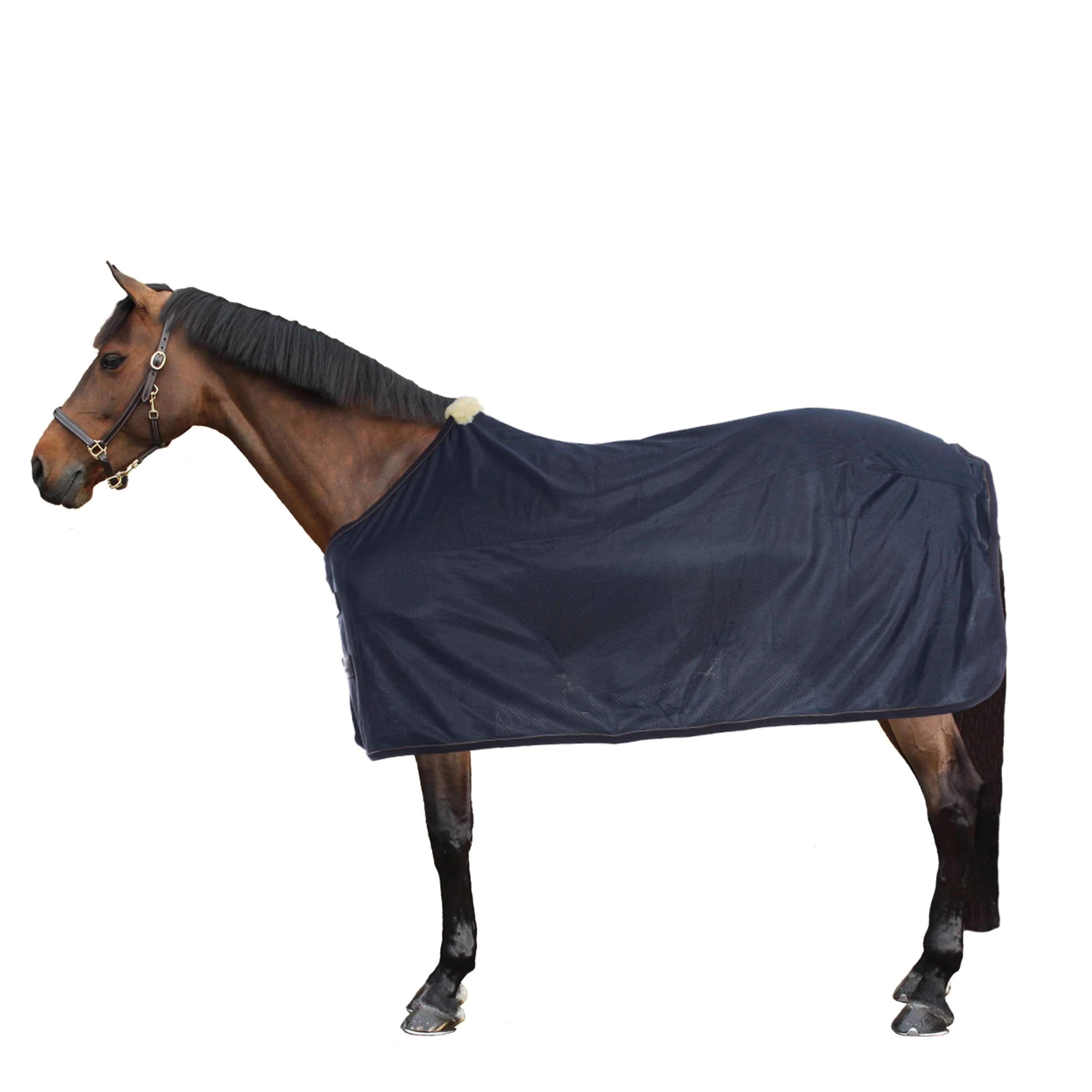 Kentucky Horsewear Coperta Antimosche Navy - Image 4