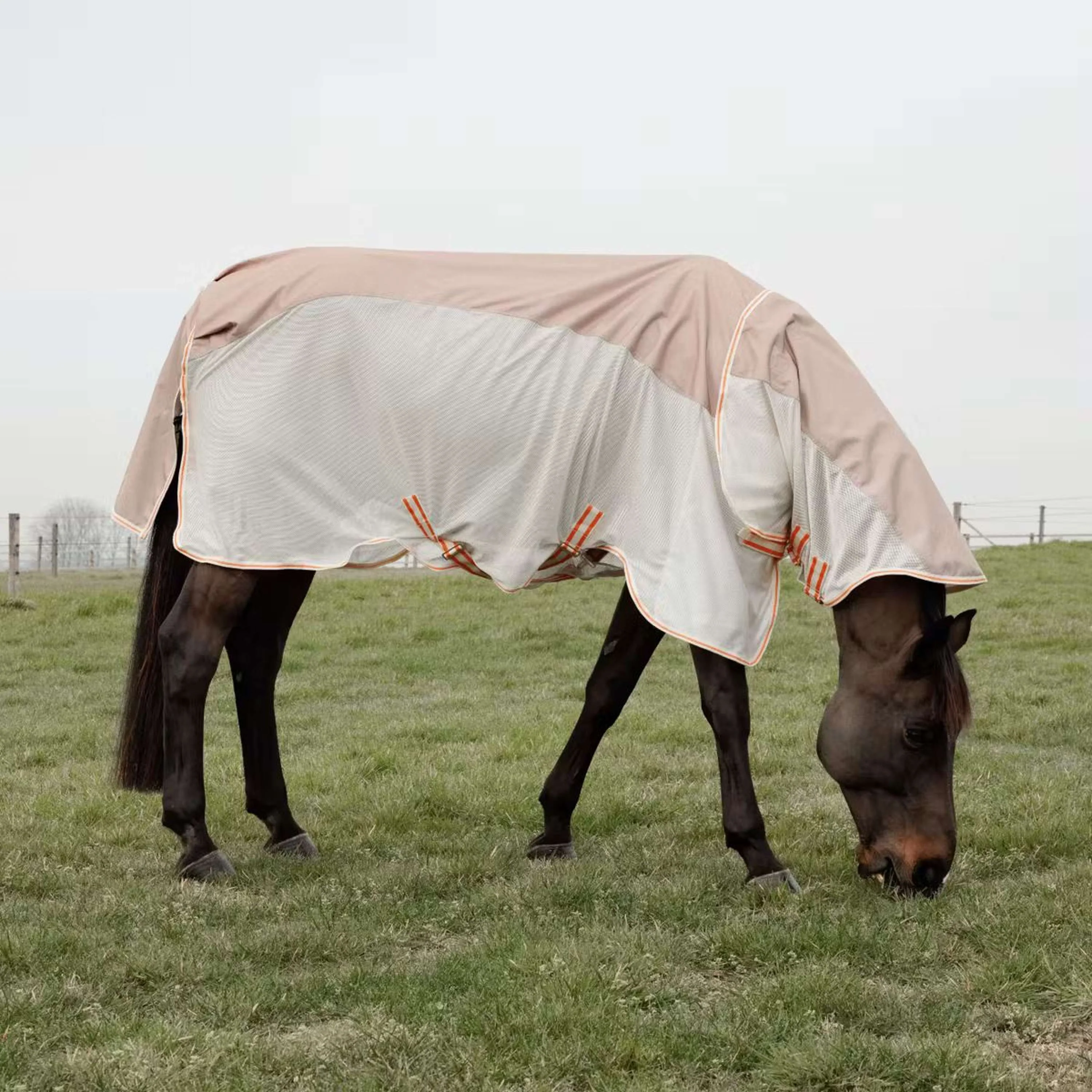 Kentucky Horsewear Coperta Antimosche Waterproof Combo Comfort Beige - Image 4