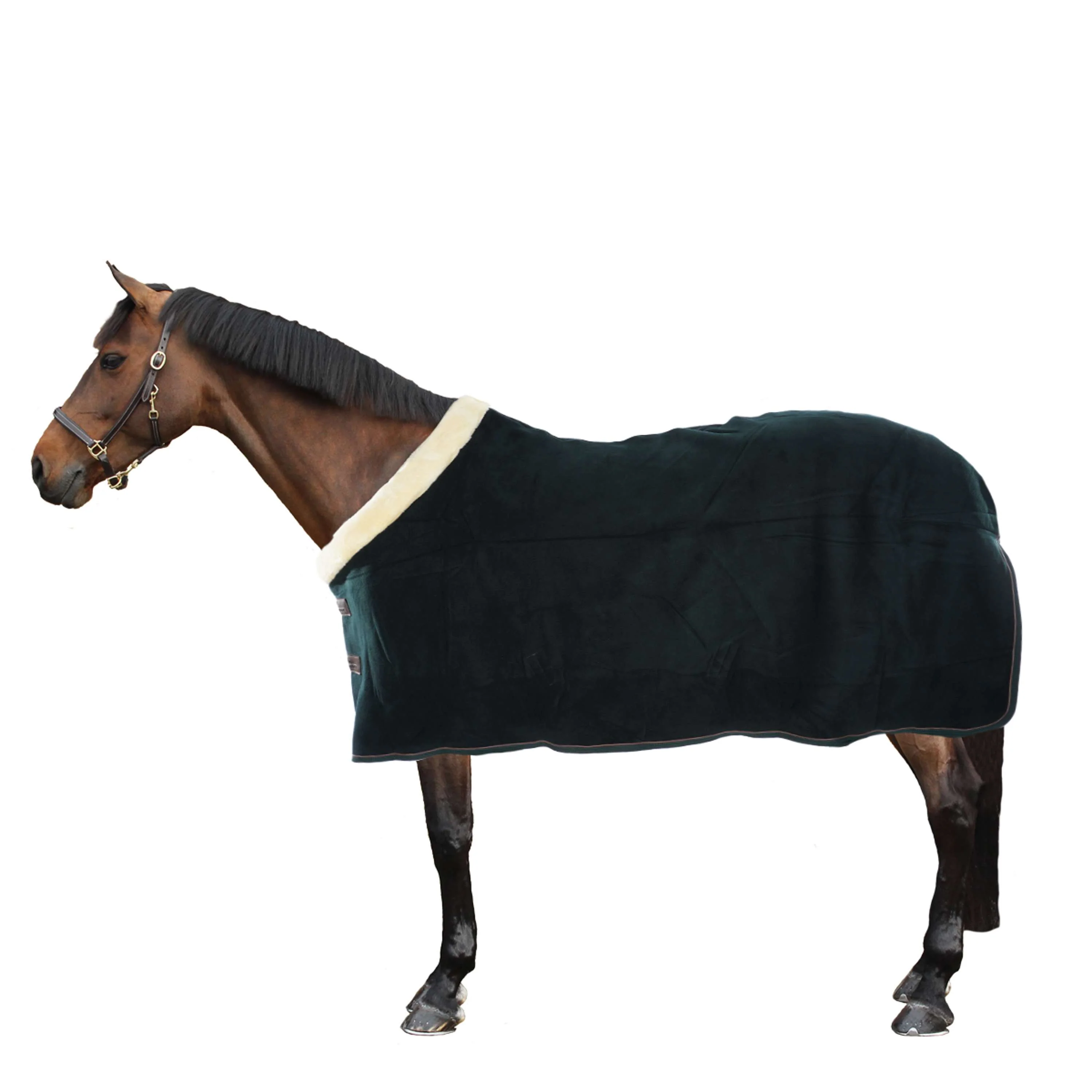 Kentucky Horsewear Coperta antisudore Show Fleece Heavy Verde - Image 4