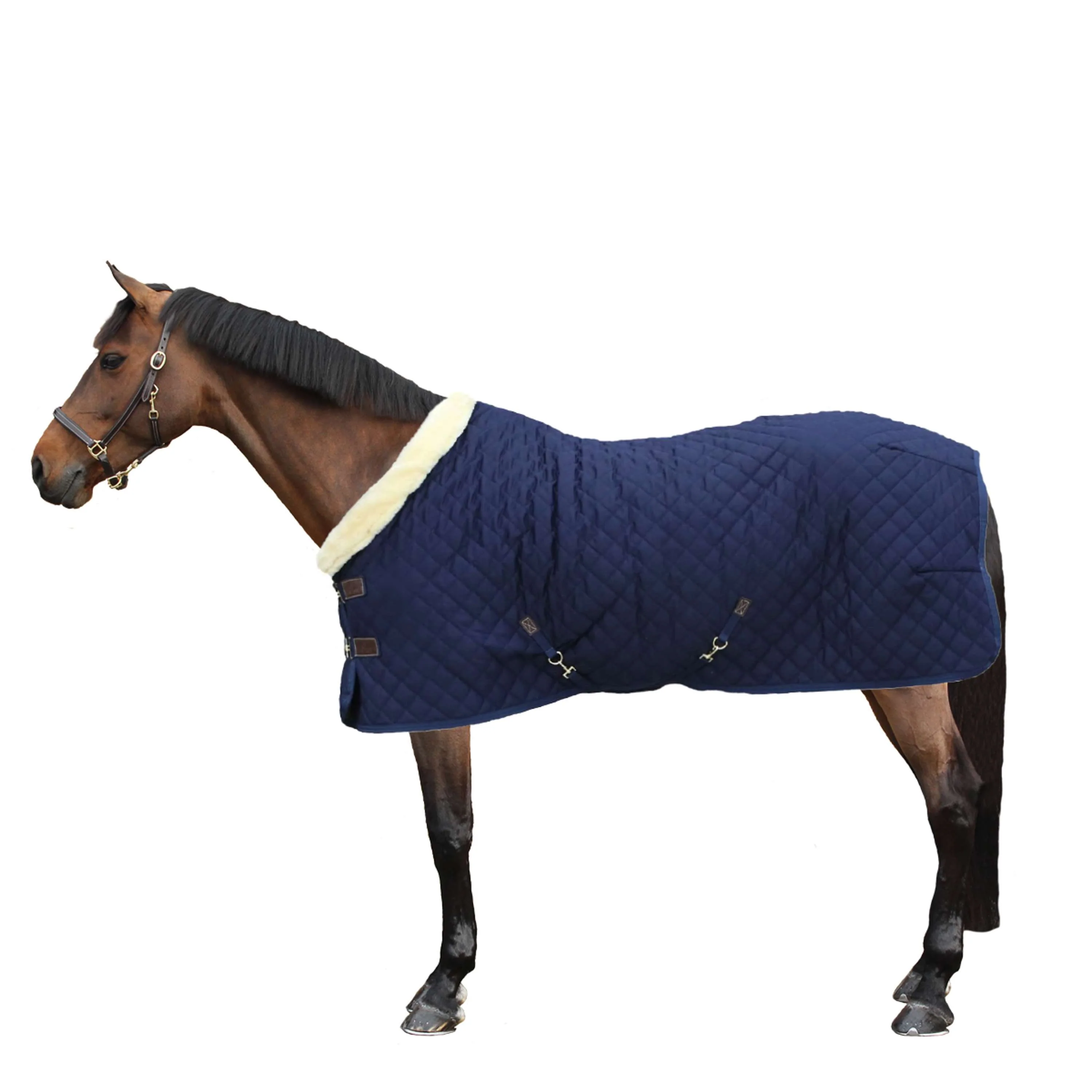 Kentucky Horsewear Coperta da esposizione 160g Navy - Image 2