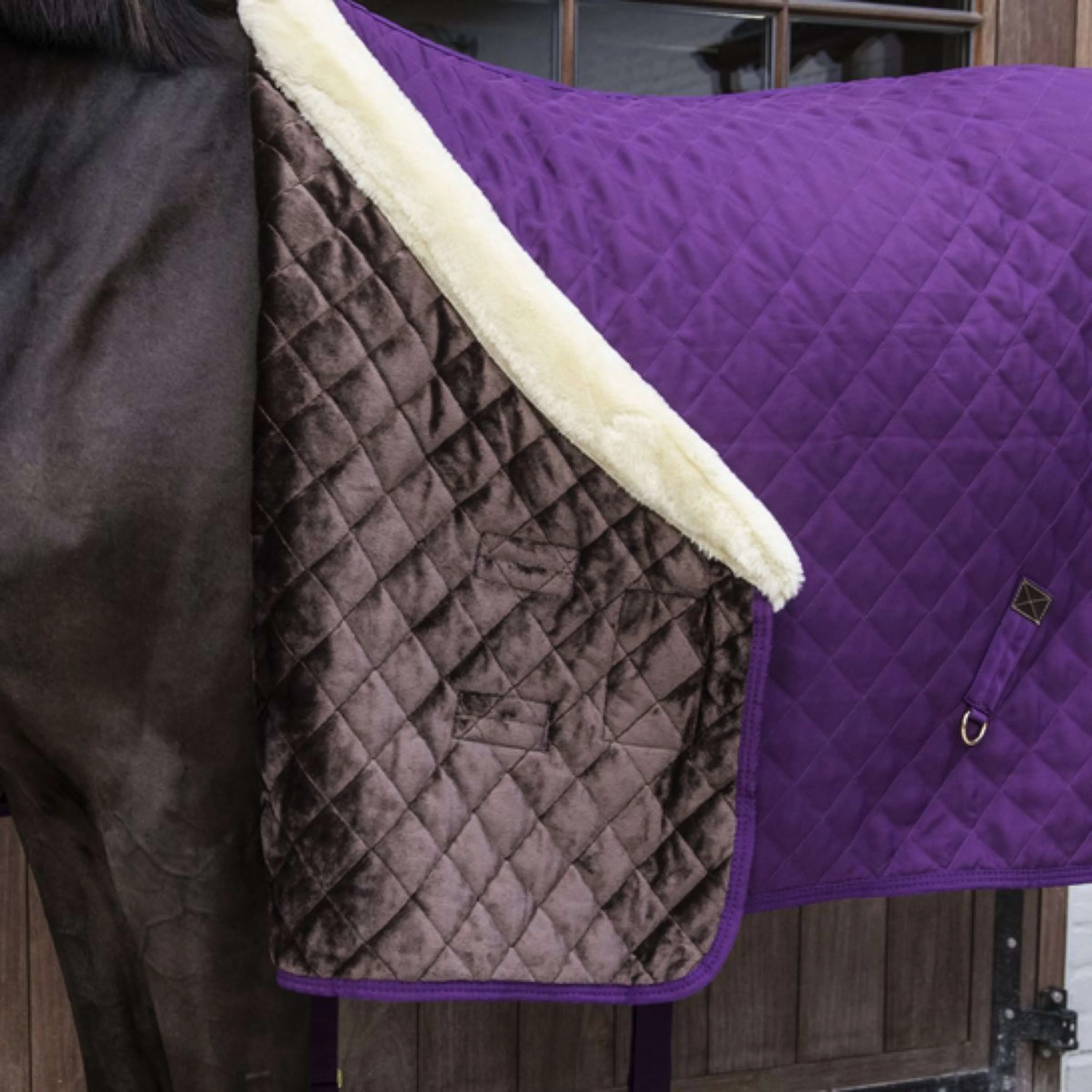 Kentucky Horsewear Coperta da esposizione Royal Viola - Image 5