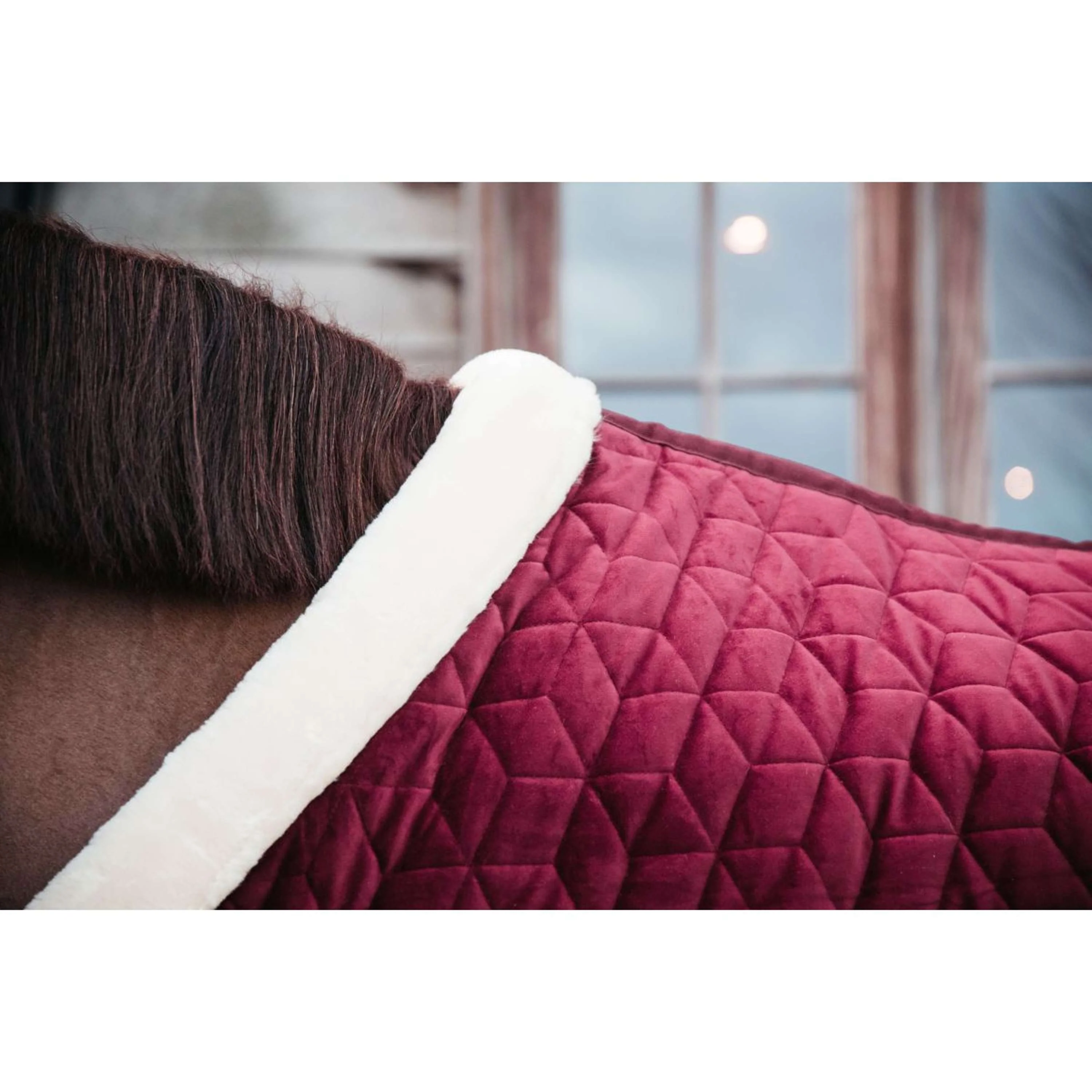 Kentucky Horsewear Coperta da esposizione Velvet Bordeaux - Image 3