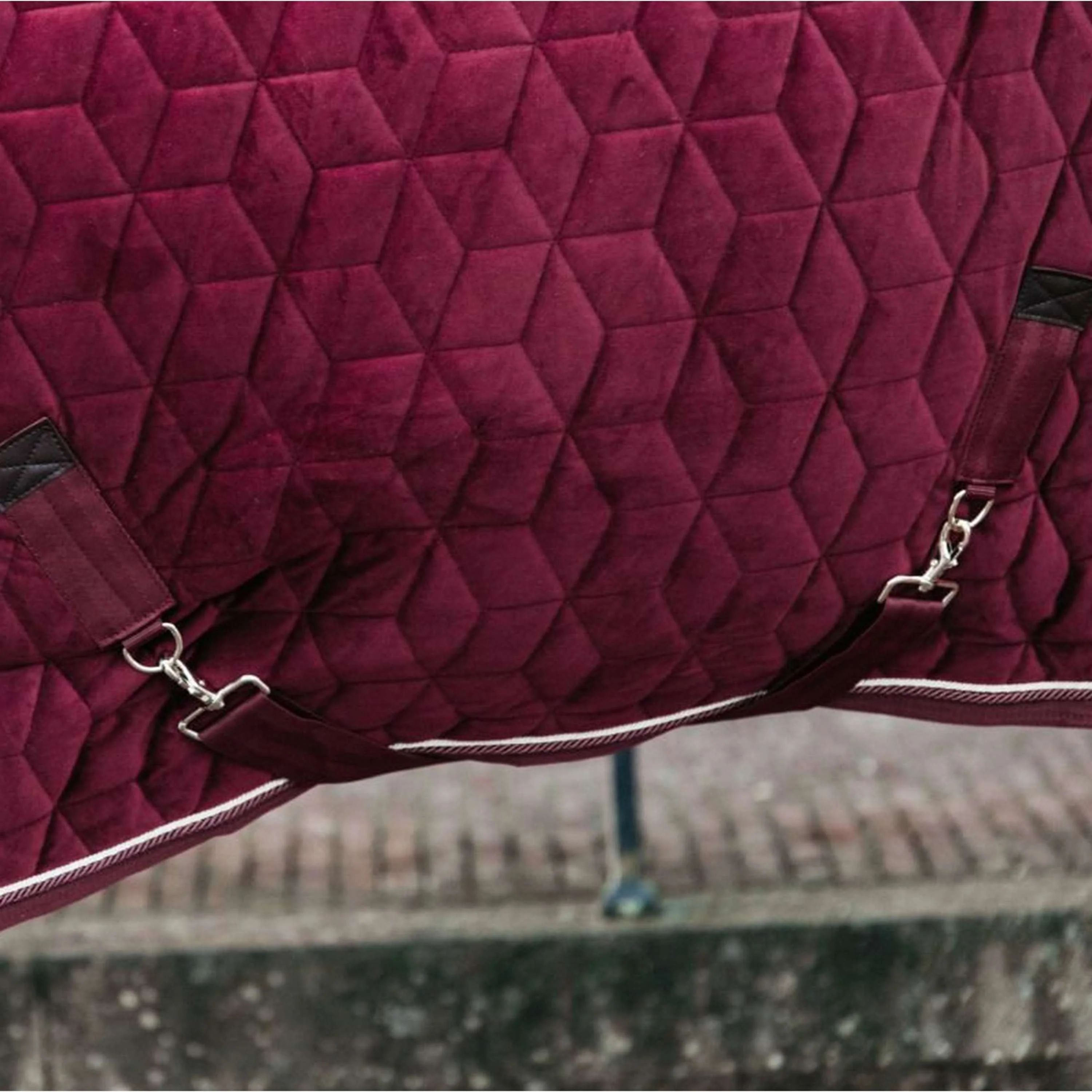 Kentucky Horsewear Coperta da esposizione Velvet Bordeaux - Image 4