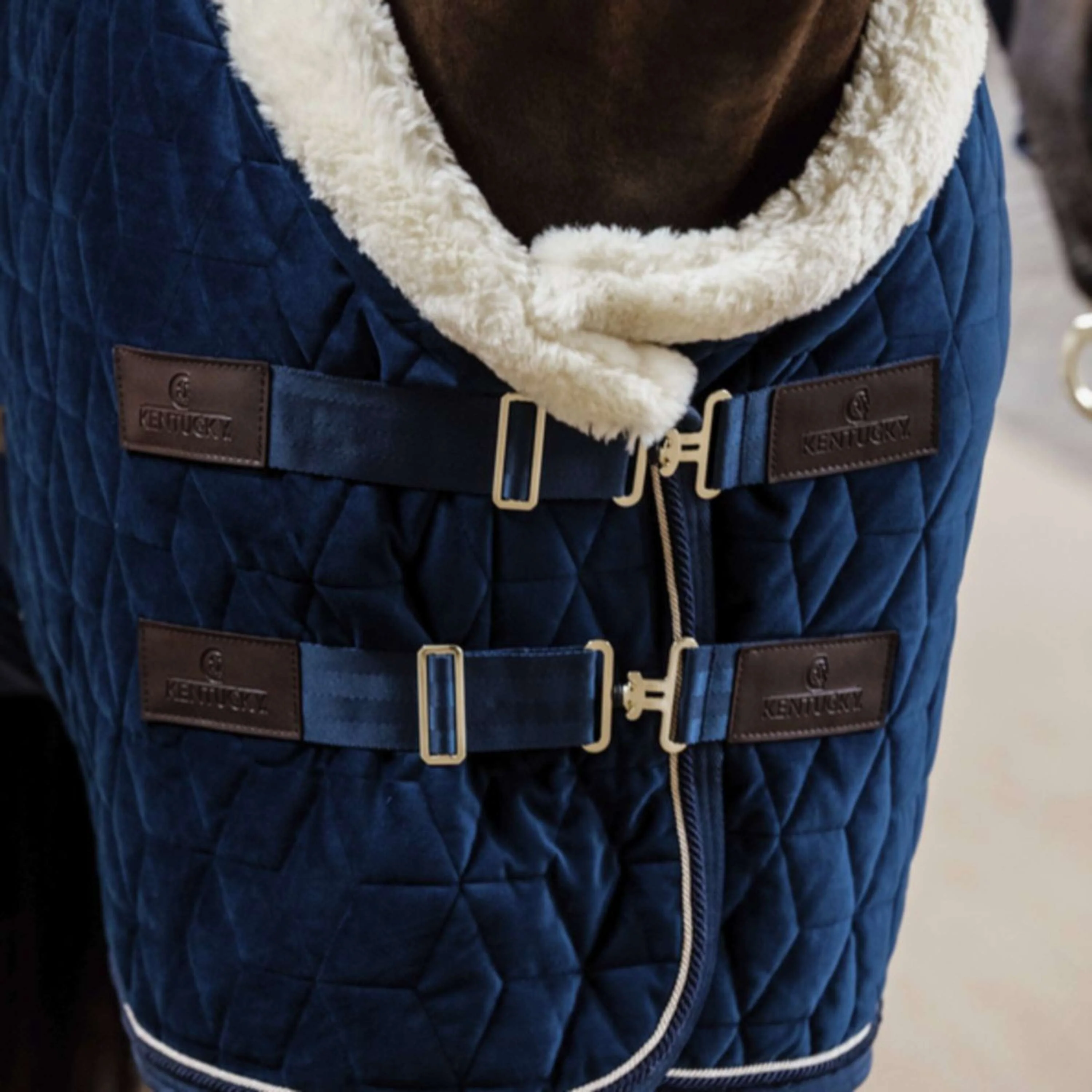 Kentucky Horsewear Coperta da esposizione Velvet 160 g Navy - Image 2