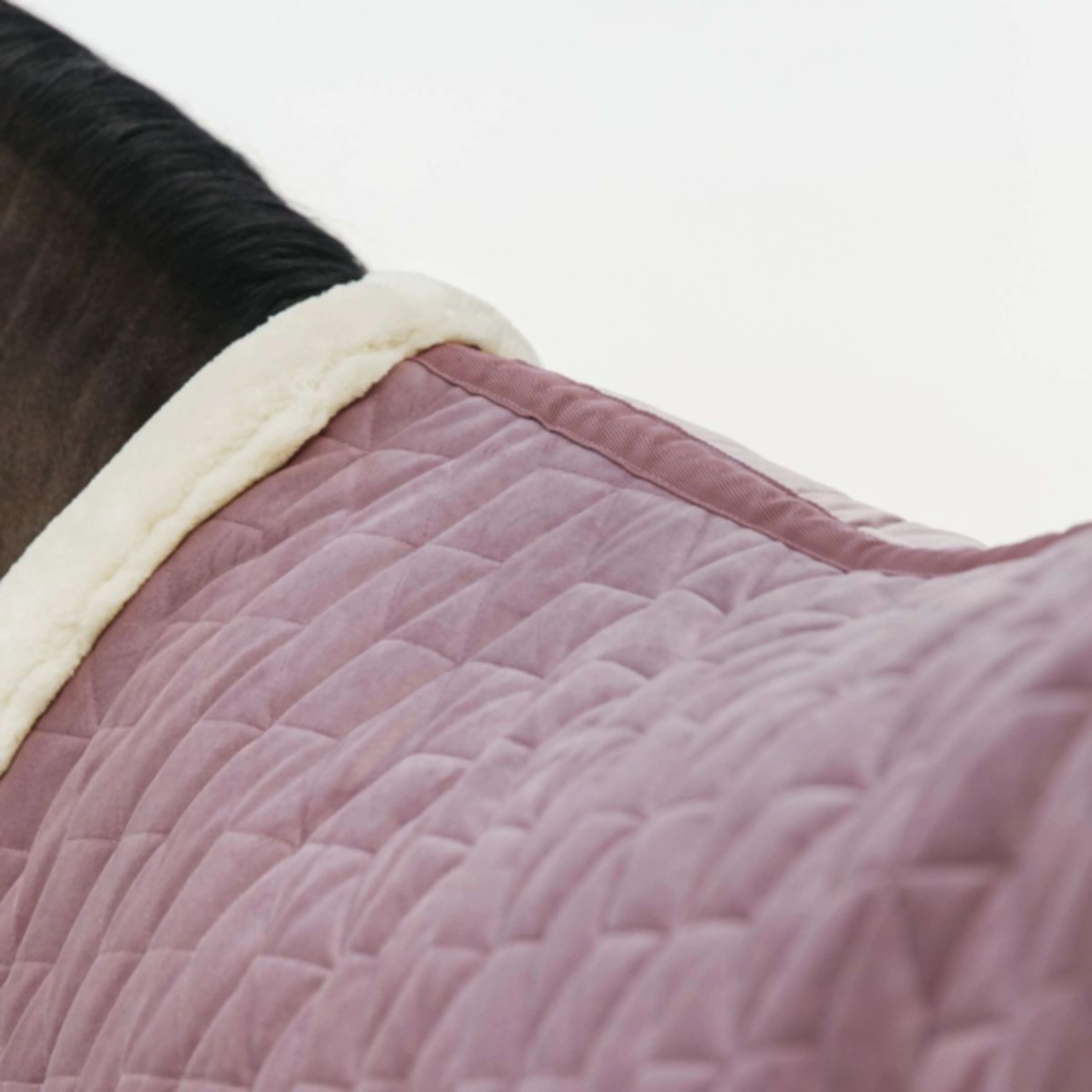 Kentucky Horsewear Coperta da esposizione Velvet Rosa antico - Image 3