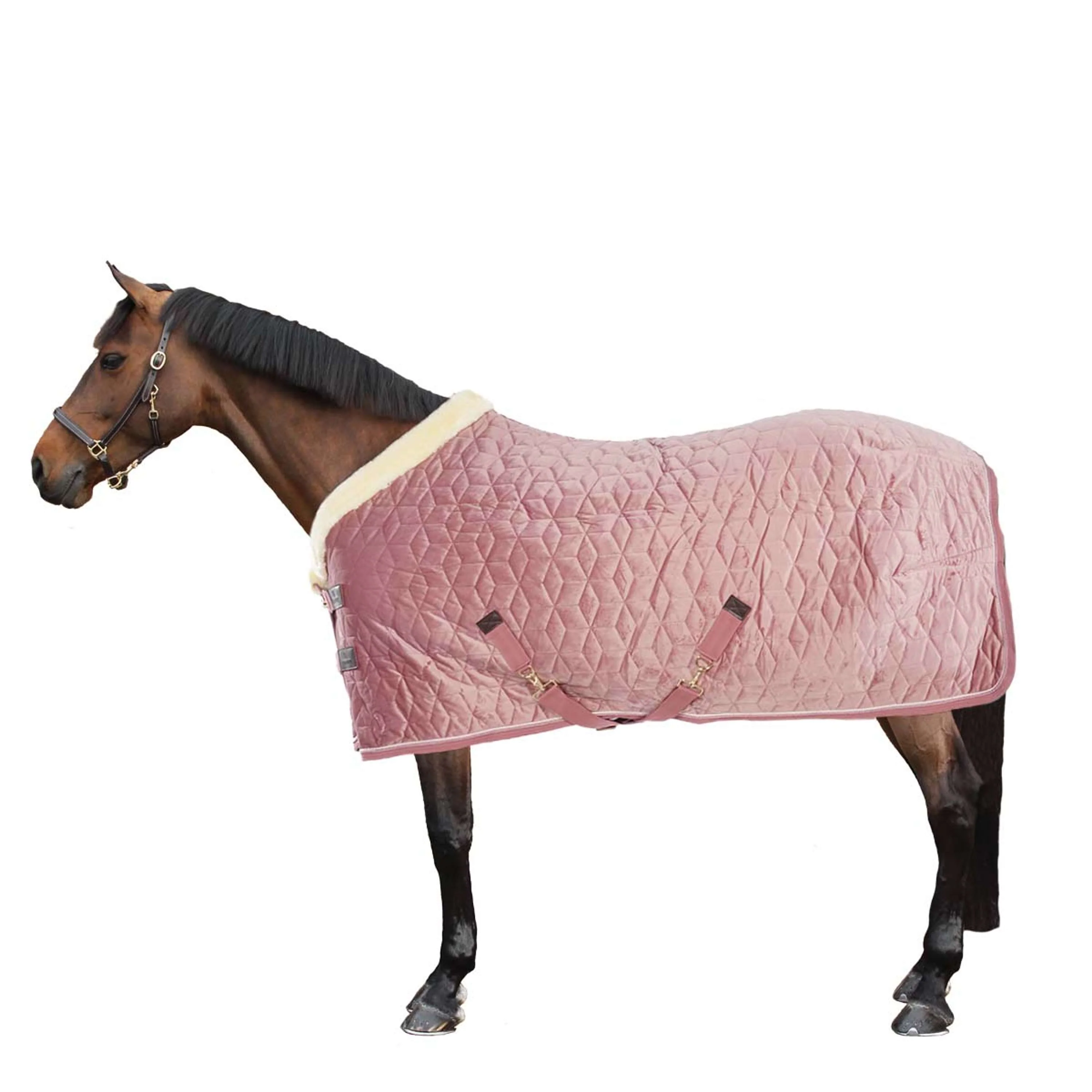 Kentucky Horsewear Coperta da esposizione Velvet Rosa antico - Image 5