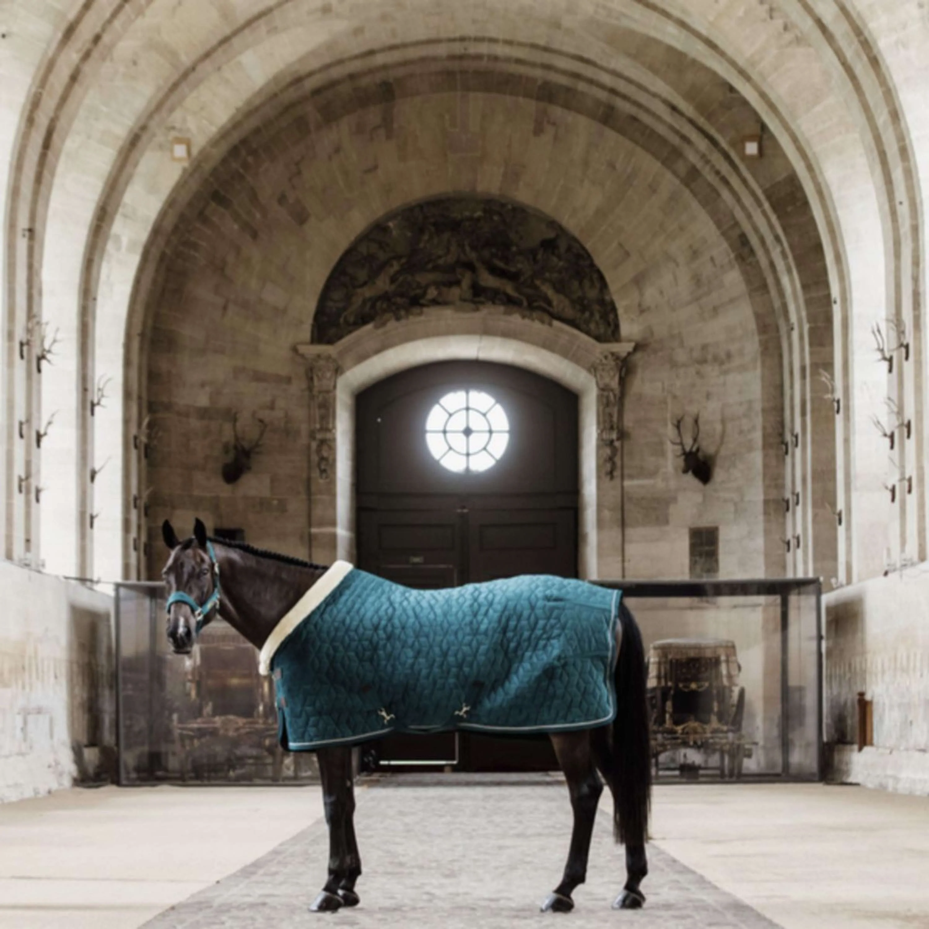 Kentucky Horsewear Coperta da esposizione Velvet Smeraldo - Image 2