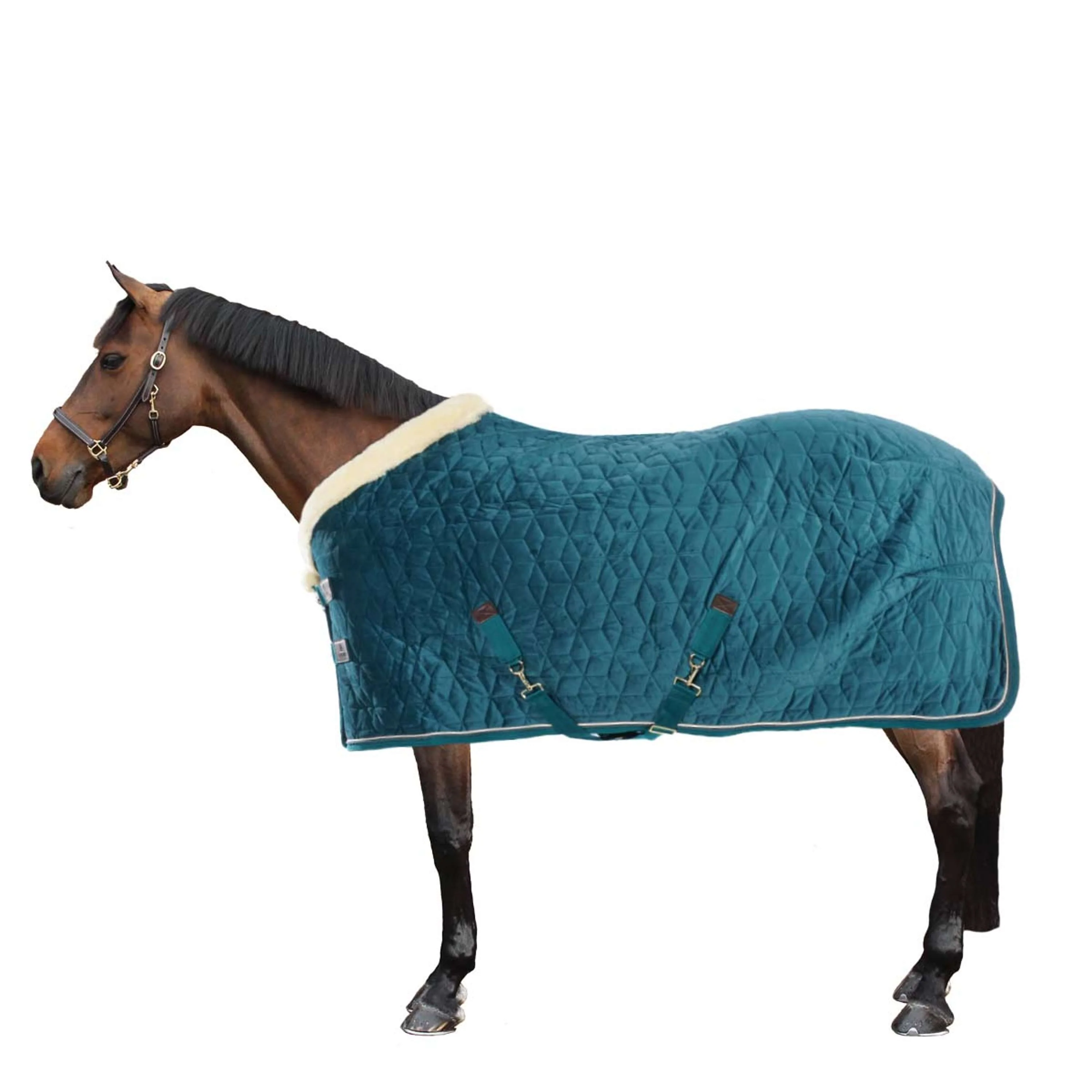 Kentucky Horsewear Coperta da esposizione Velvet Smeraldo - Image 3